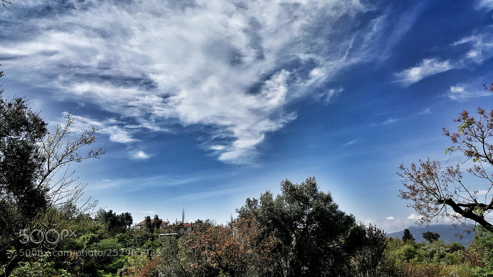 Samsung Galaxy Note5 sample photo. Untitled photography