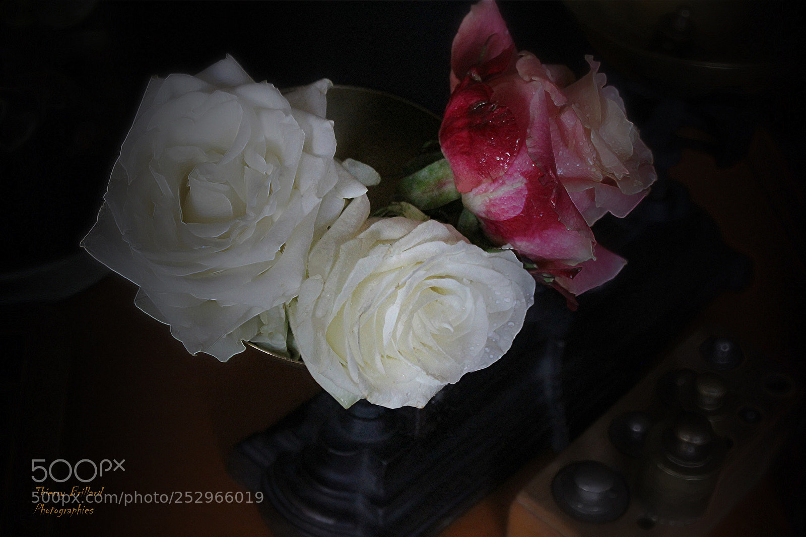 Canon EOS 600D (Rebel EOS T3i / EOS Kiss X5) sample photo. Trois roses et une photography