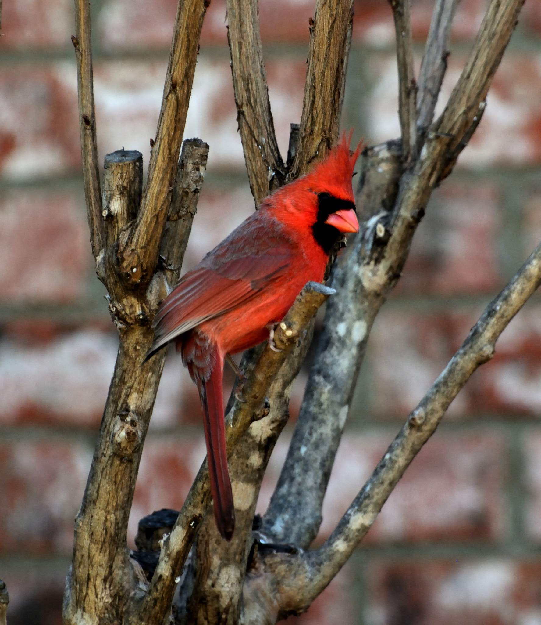 Nikon D5200 sample photo. Bending color photography