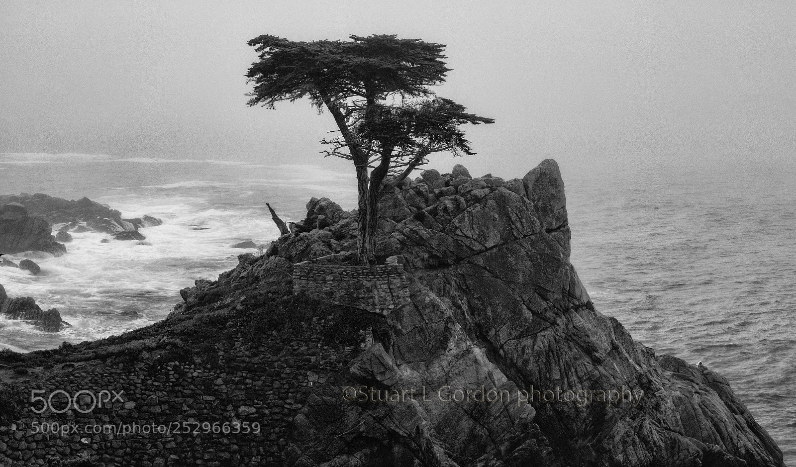Canon EOS 5DS R sample photo. Stormy morning at the photography