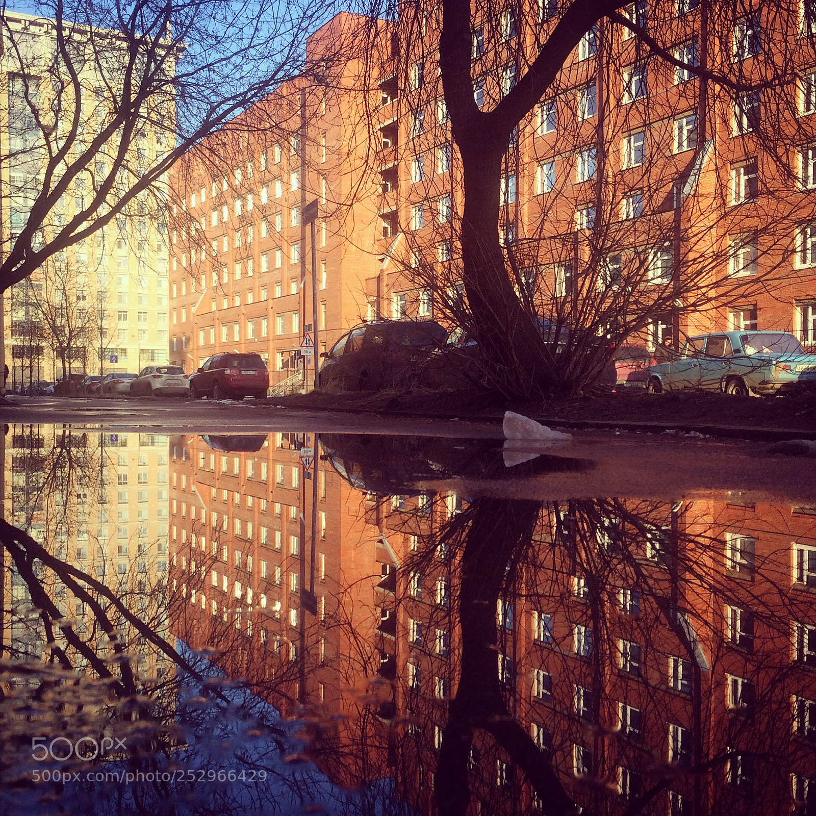 Apple iPhone 5s sample photo. Reflect me.  photography