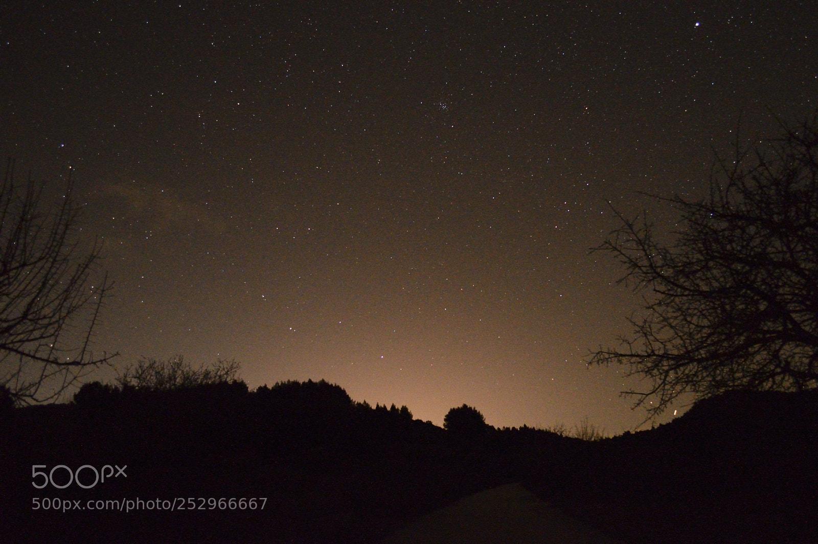 Nikon D3200 sample photo. Night stars photography