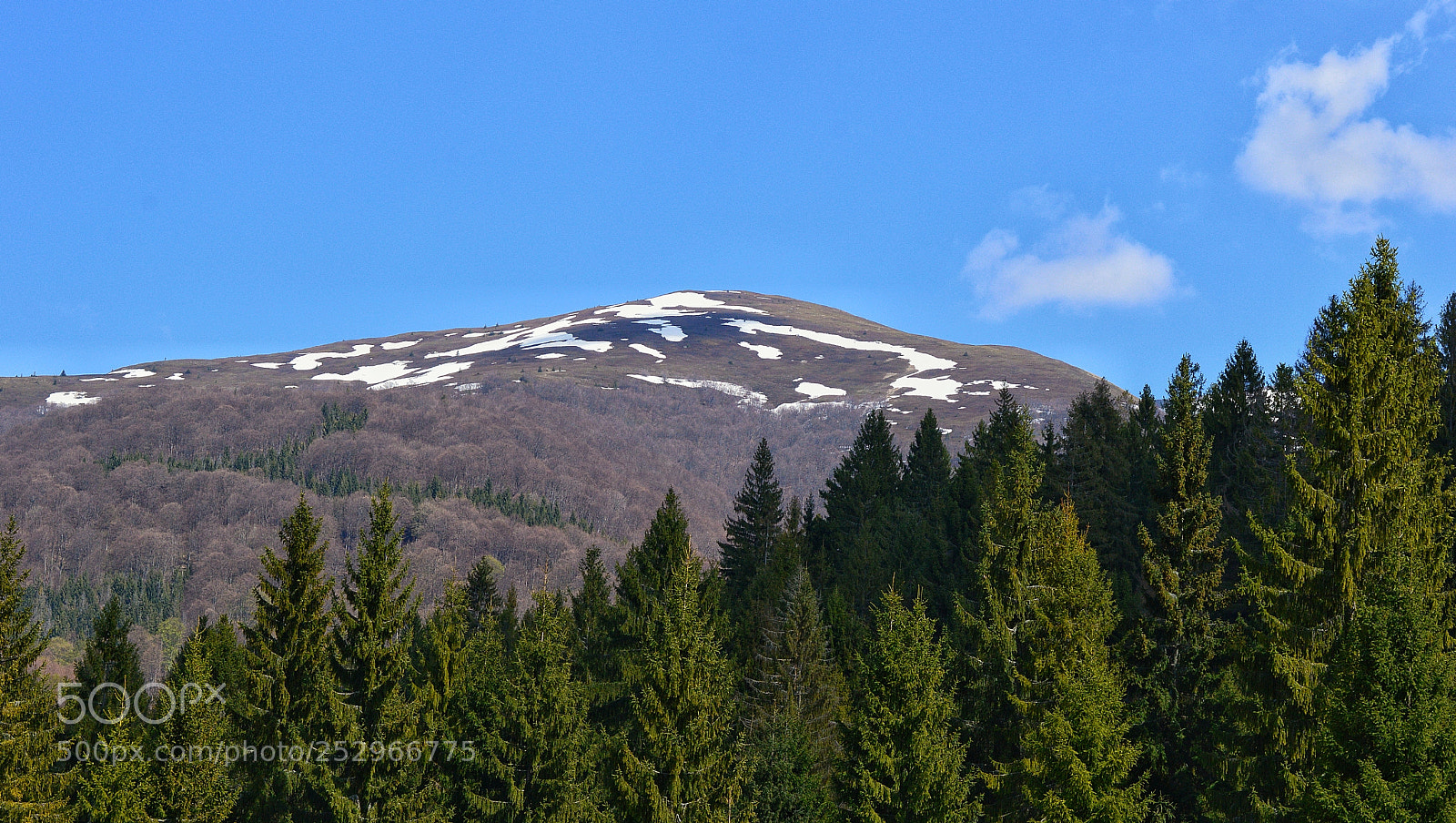 Nikon D3200 sample photo. Untitled photography
