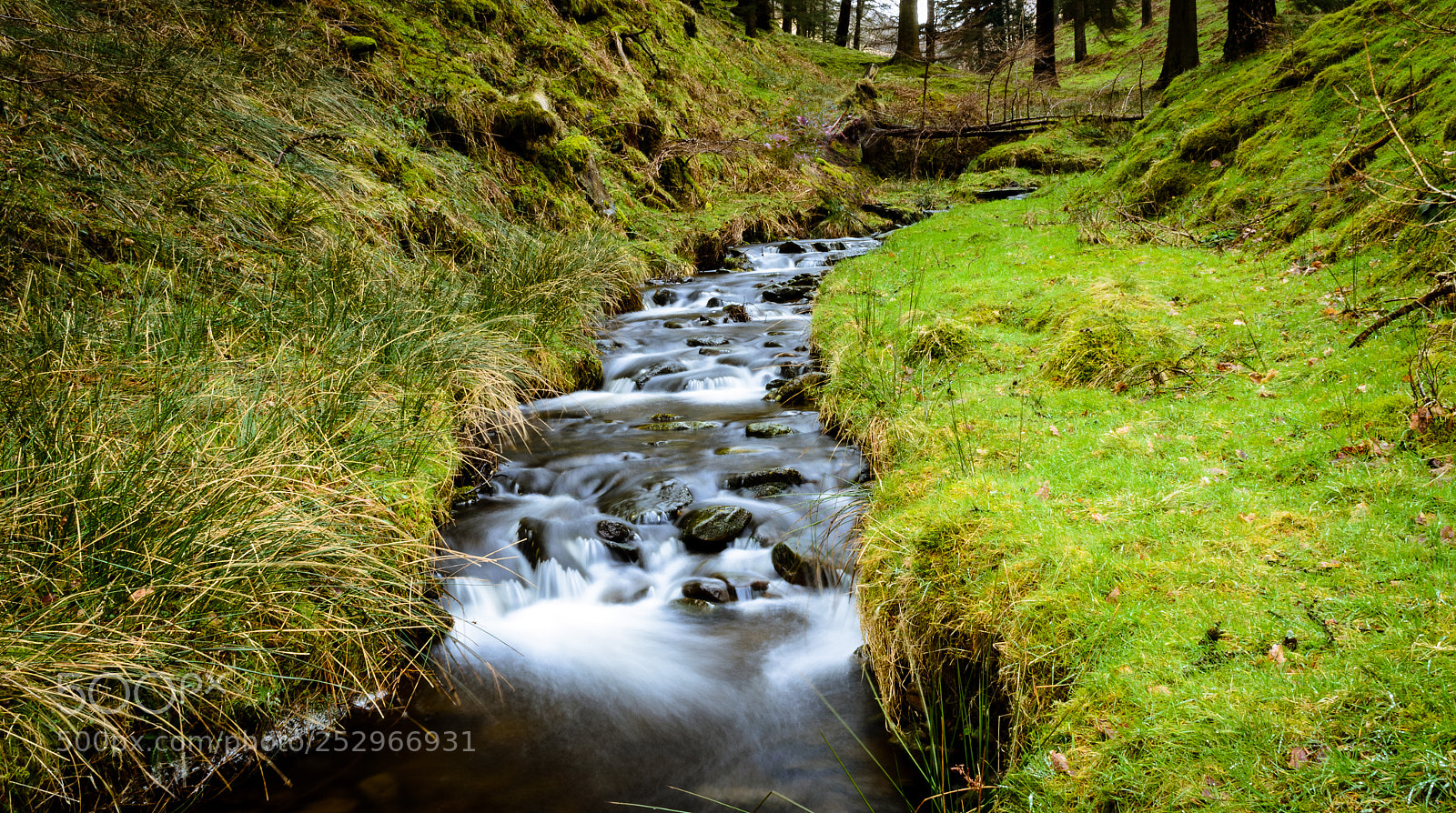 Nikon D5100 sample photo. A small stream photography