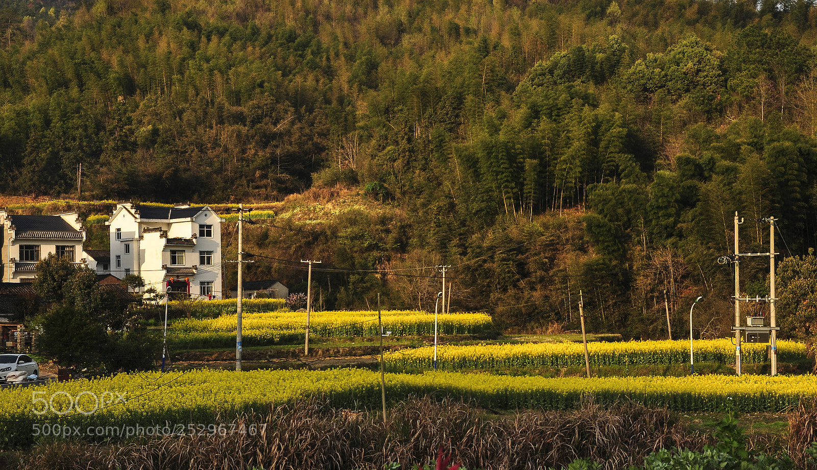 Nikon D90 sample photo. 小村庄 photography