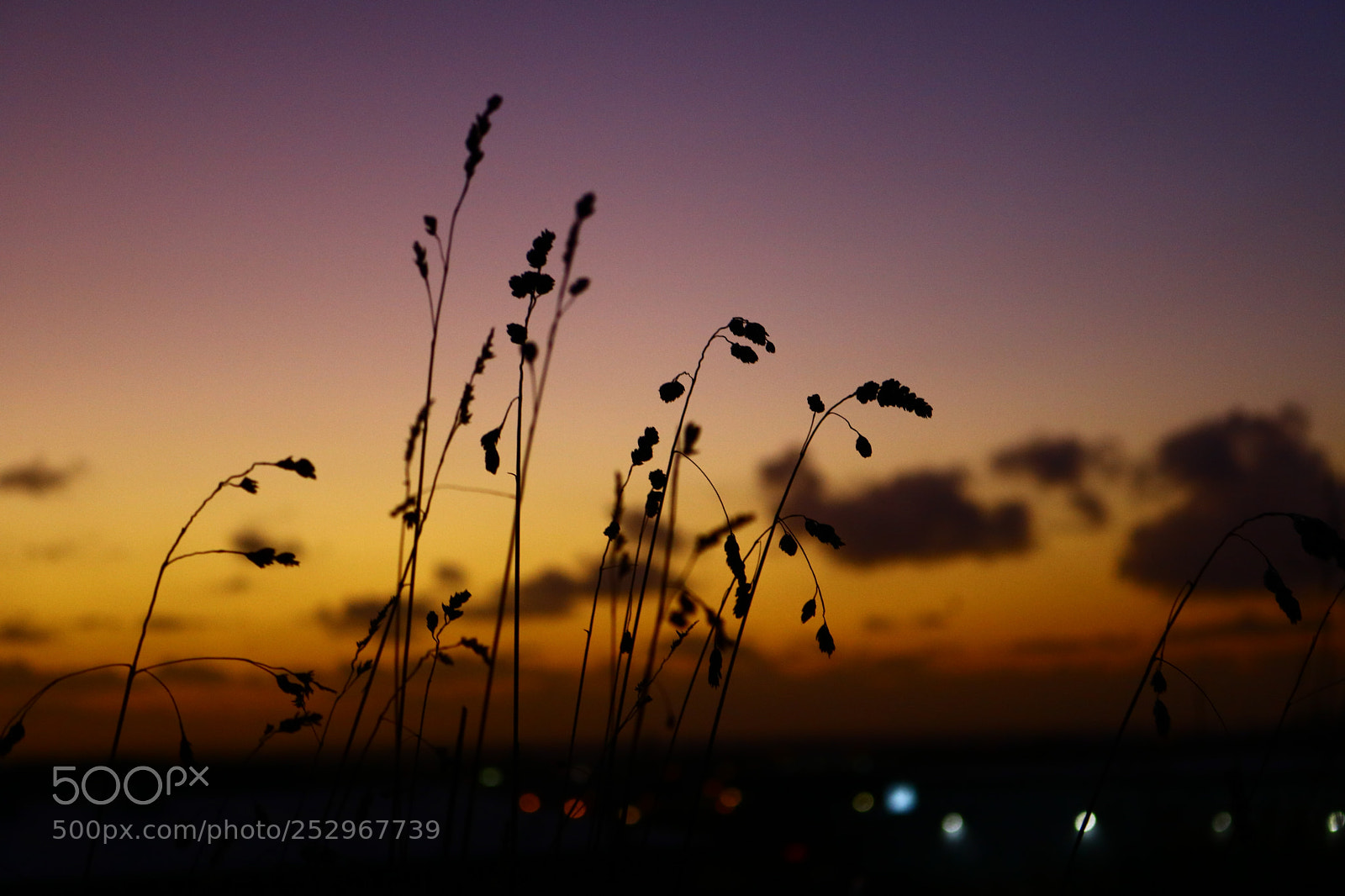 Canon EOS 750D (EOS Rebel T6i / EOS Kiss X8i) sample photo. Last light photography