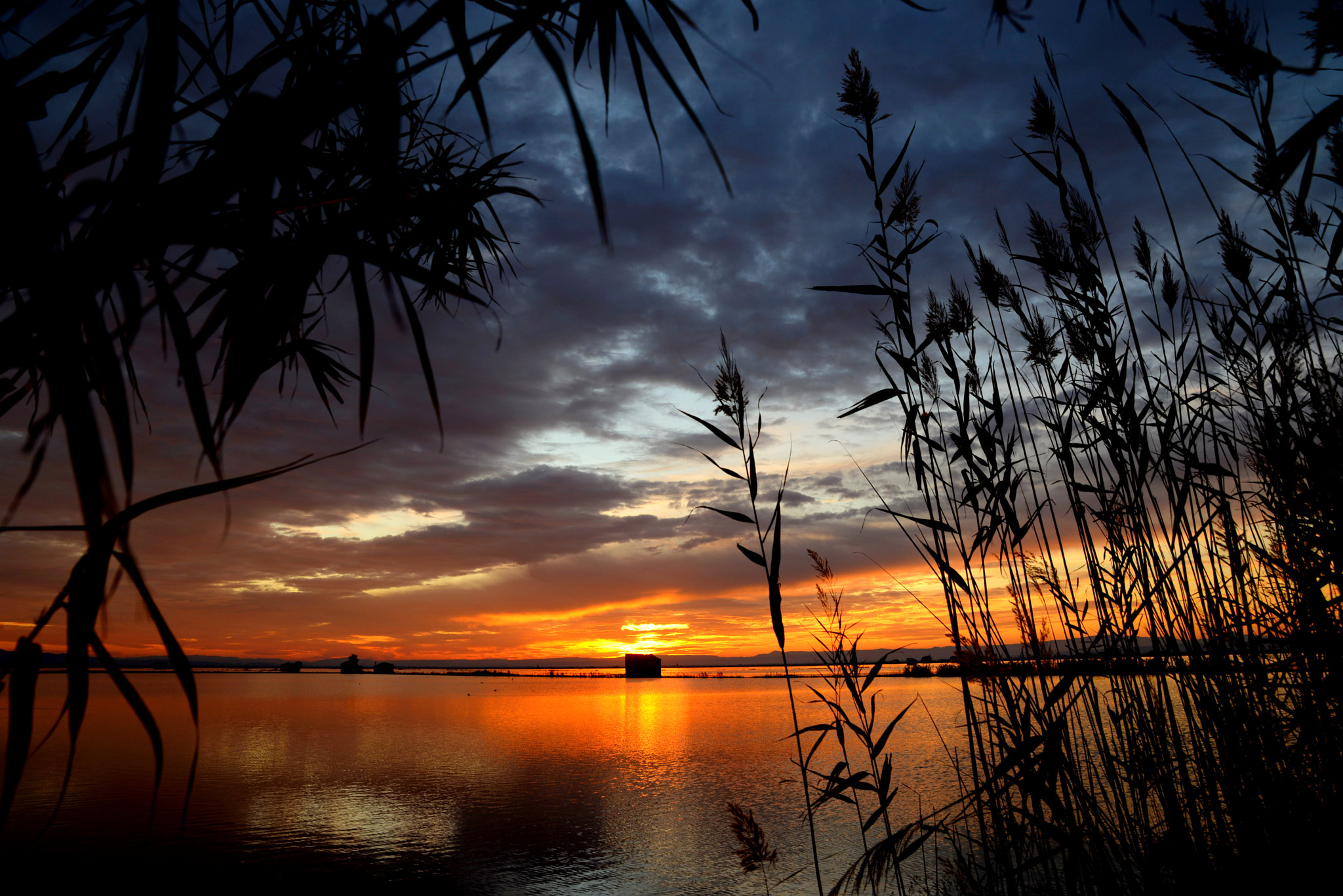 Nikon D610 + Tamron SP 24-70mm F2.8 Di VC USD sample photo. "waiting for the night". photography