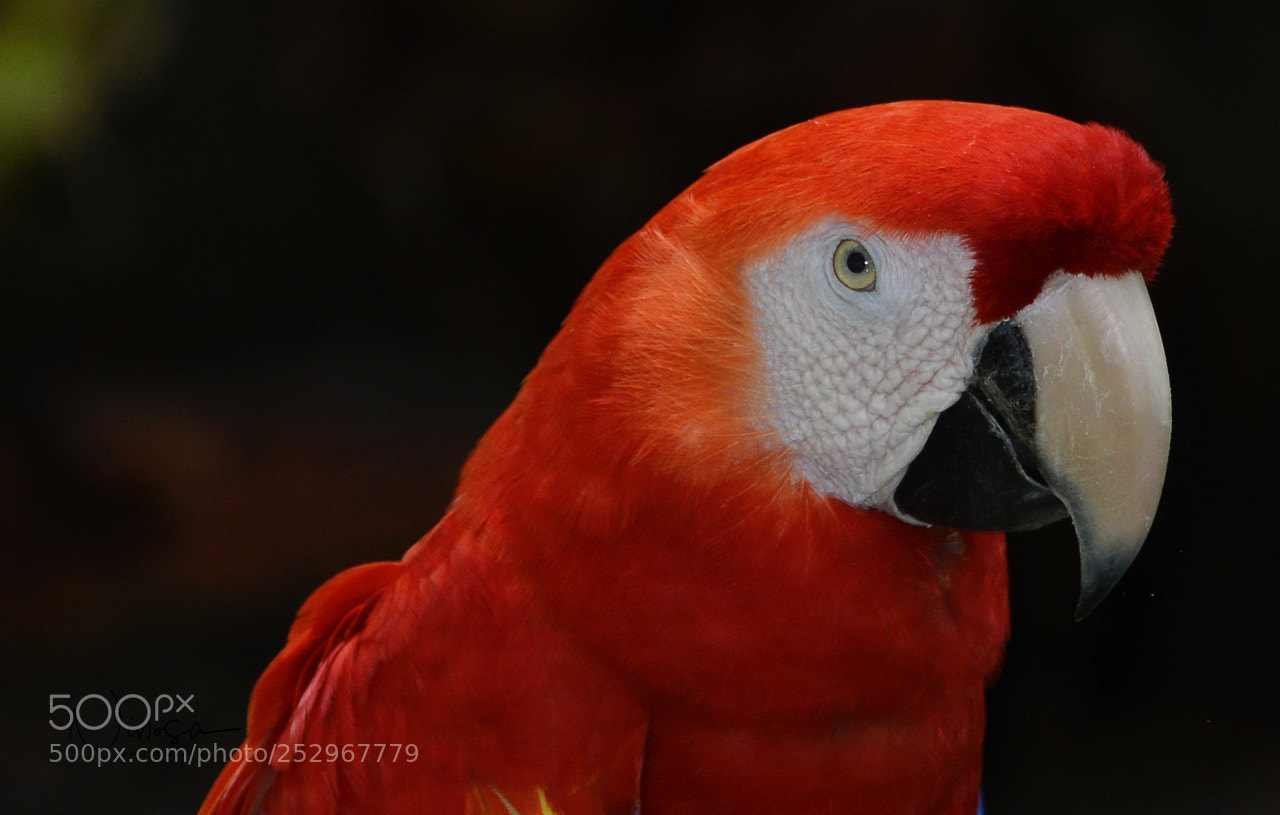 Nikon D800 sample photo. Untitled photography