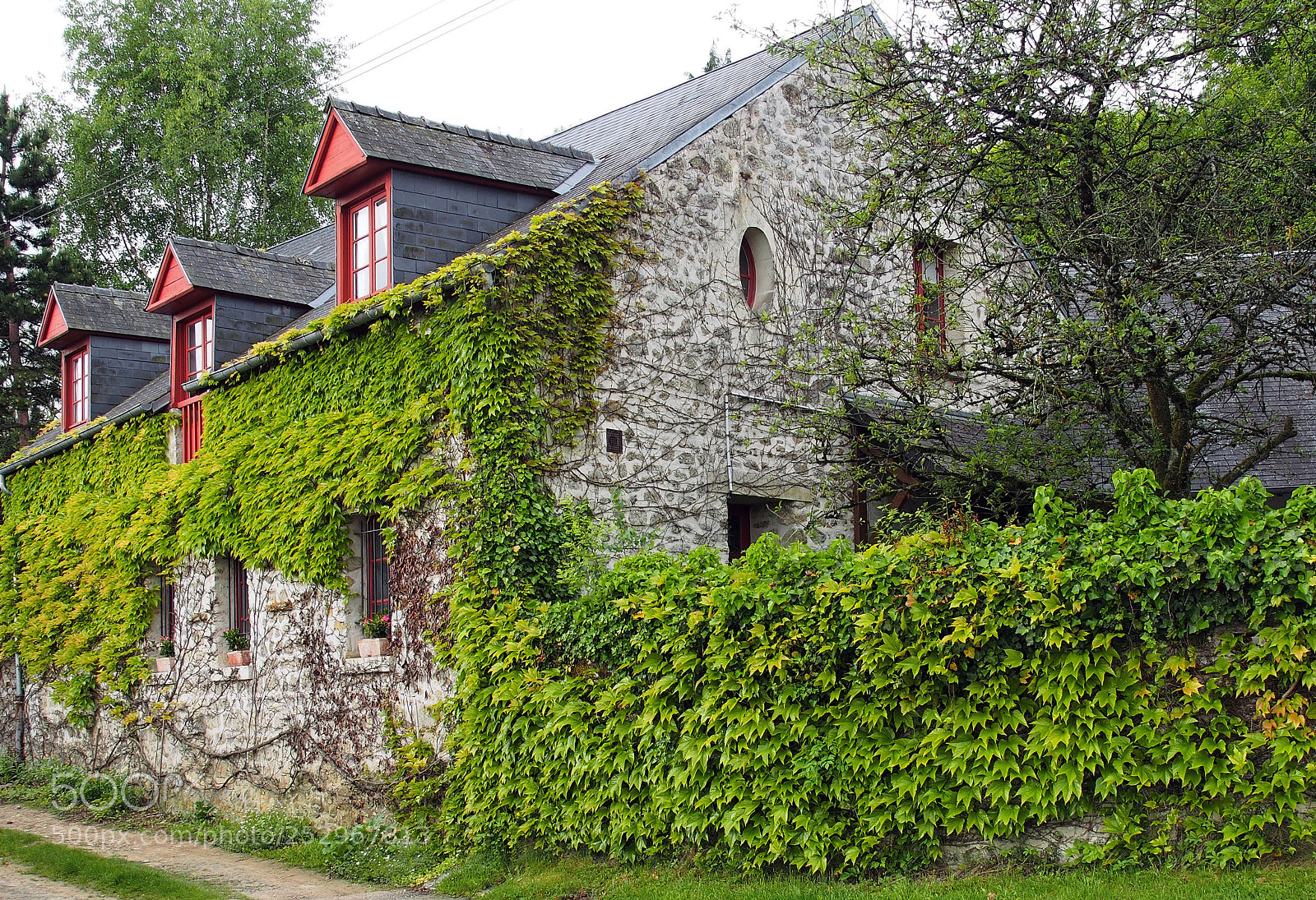 Olympus OM-D E-M5 sample photo. Chemin des creuttes aisne photography