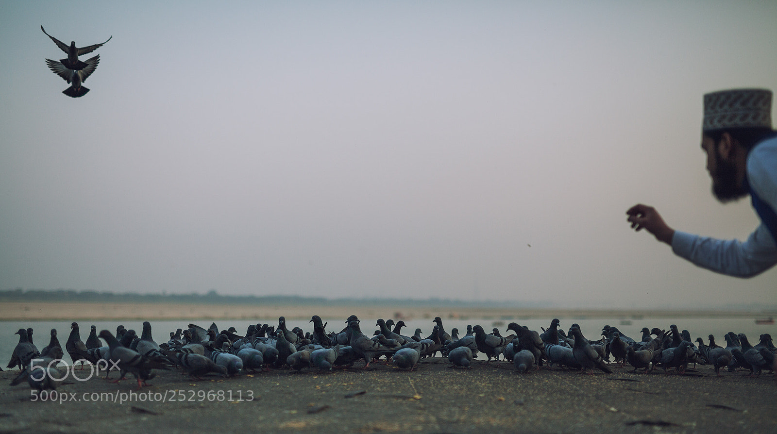 Canon EOS 5D Mark II sample photo. Feeding birds is also photography