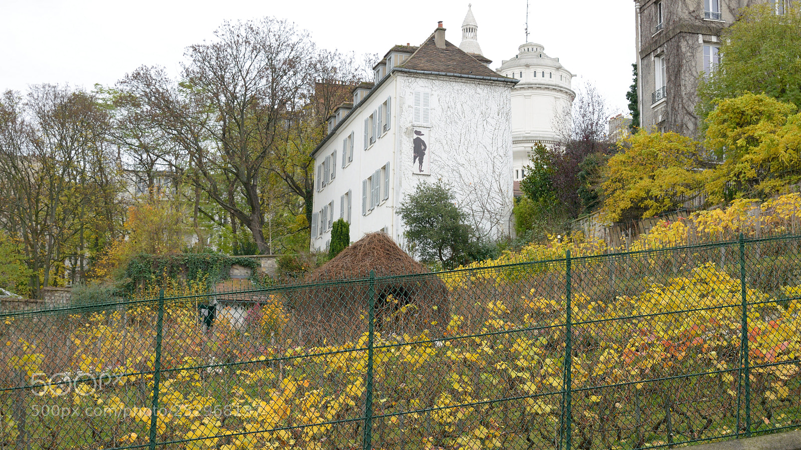 Nikon D3300 sample photo. Le vin de montmartre photography