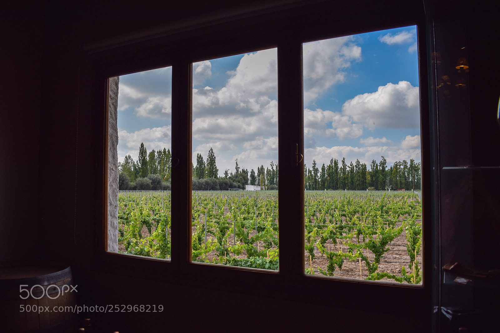 Nikon D5300 sample photo. Thru the window photography