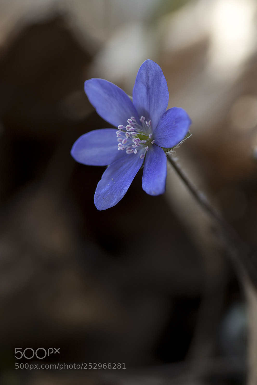 Canon EOS 7D Mark II sample photo. Na photography