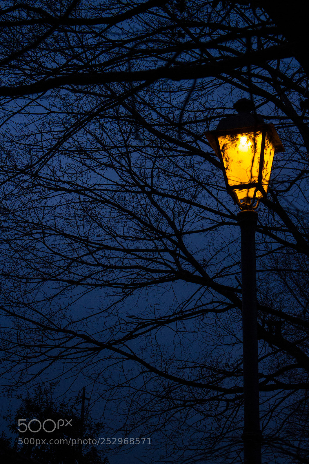 Canon EOS 700D (EOS Rebel T5i / EOS Kiss X7i) sample photo. Hidden light photography