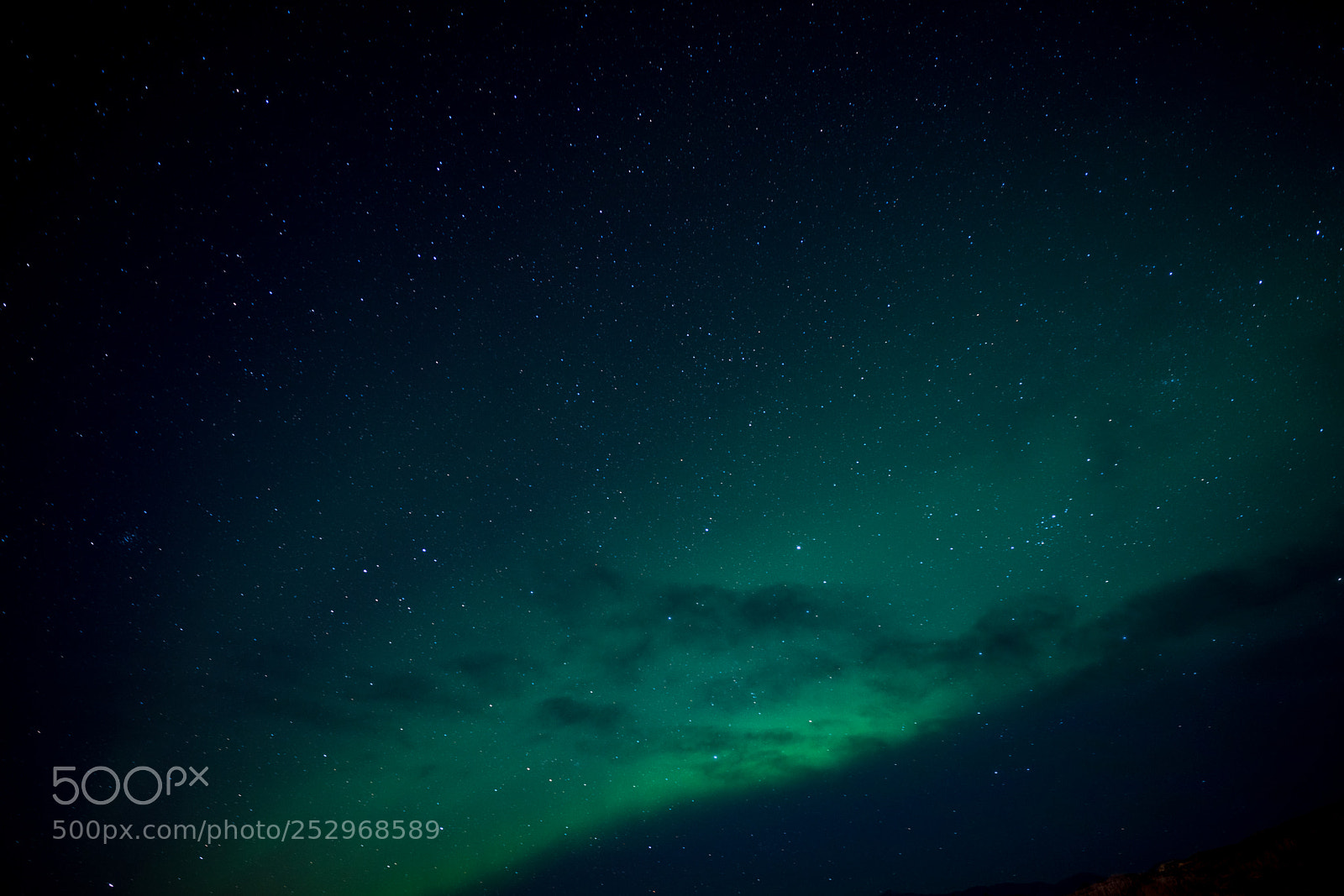 Sony a7R II sample photo. Boreal photography