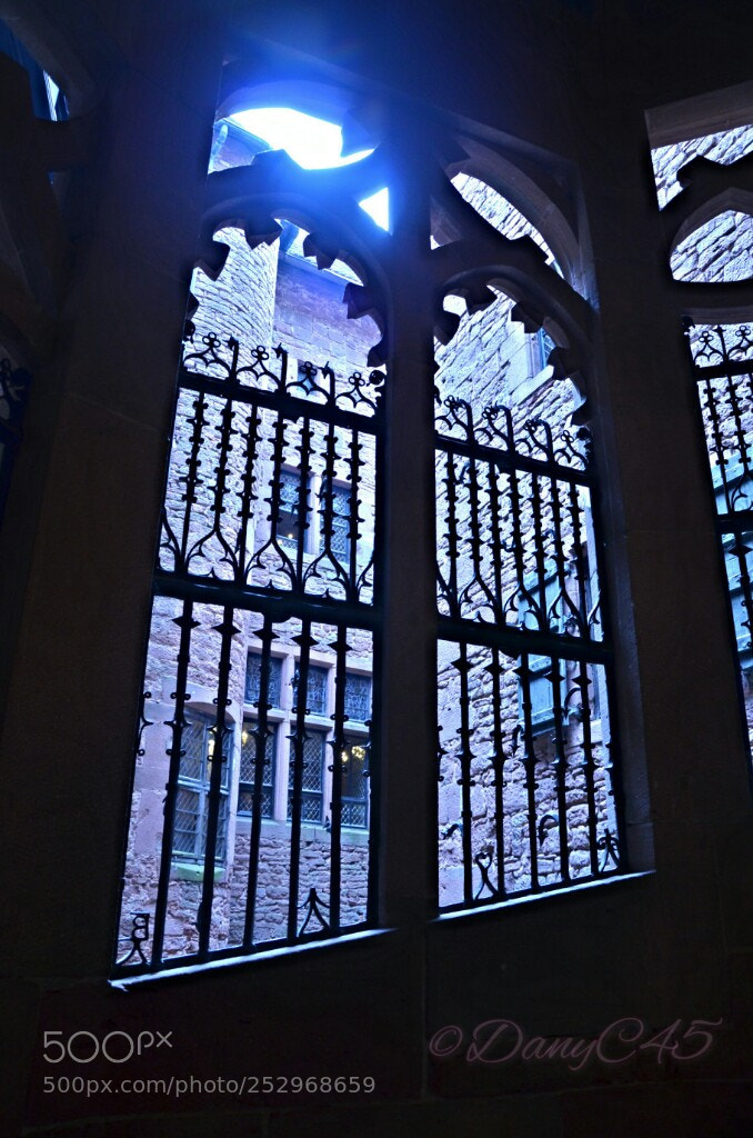 Nikon D5100 sample photo. Alsace (36) photography