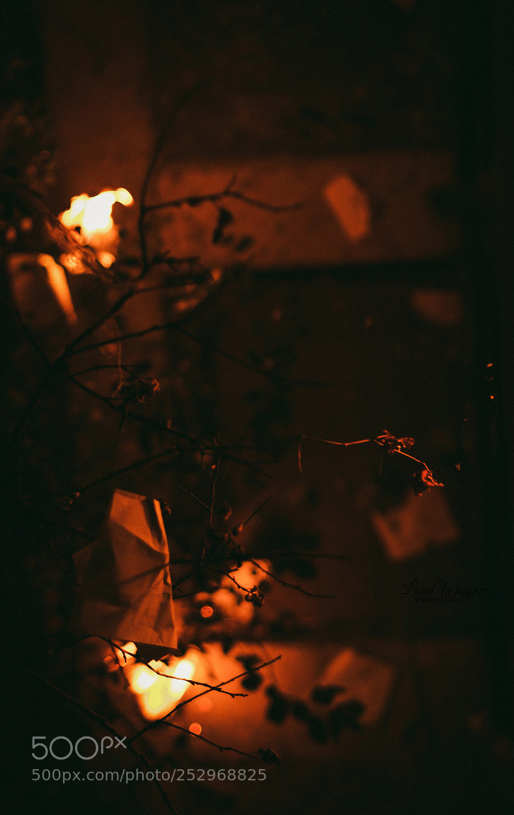 Canon EOS 7D Mark II sample photo. Burned papers photography