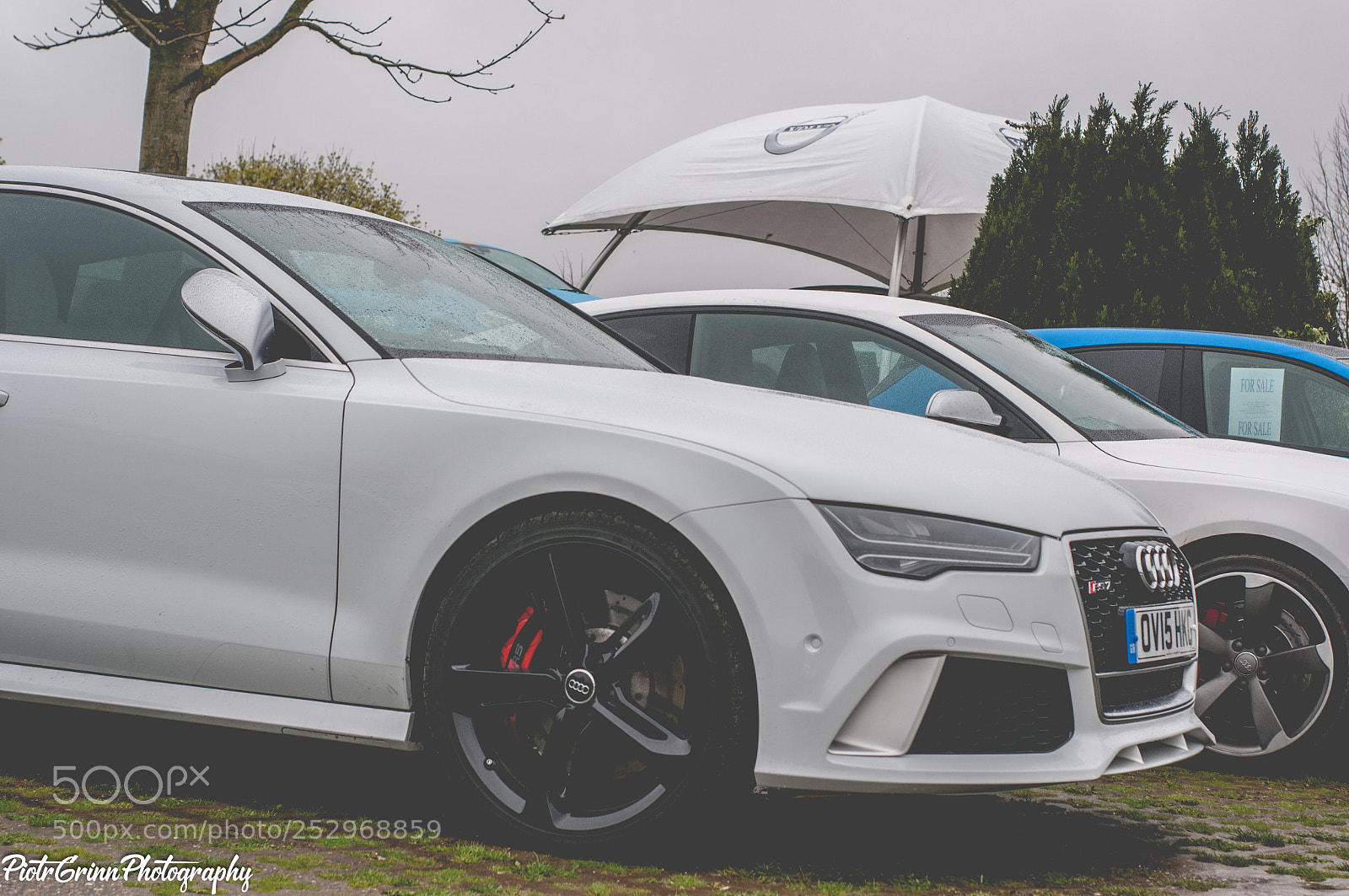 Nikon D300 sample photo. Boss charity car festival photography