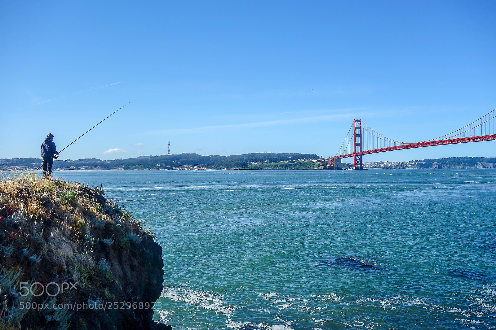 Sony Cyber-shot DSC-RX100 sample photo. Fisherman's friend photography