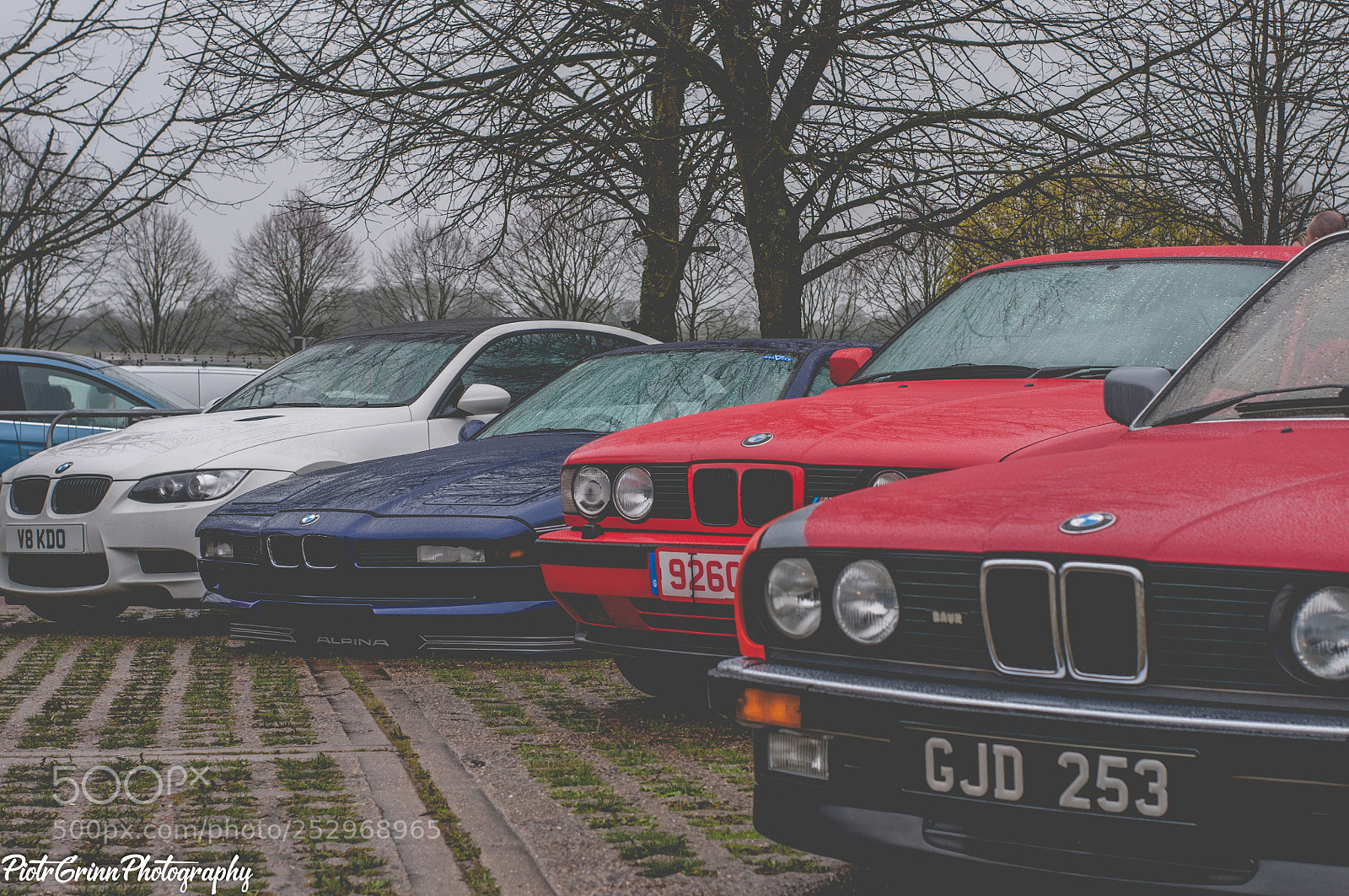 Nikon D300 sample photo. Boss charity car festival photography