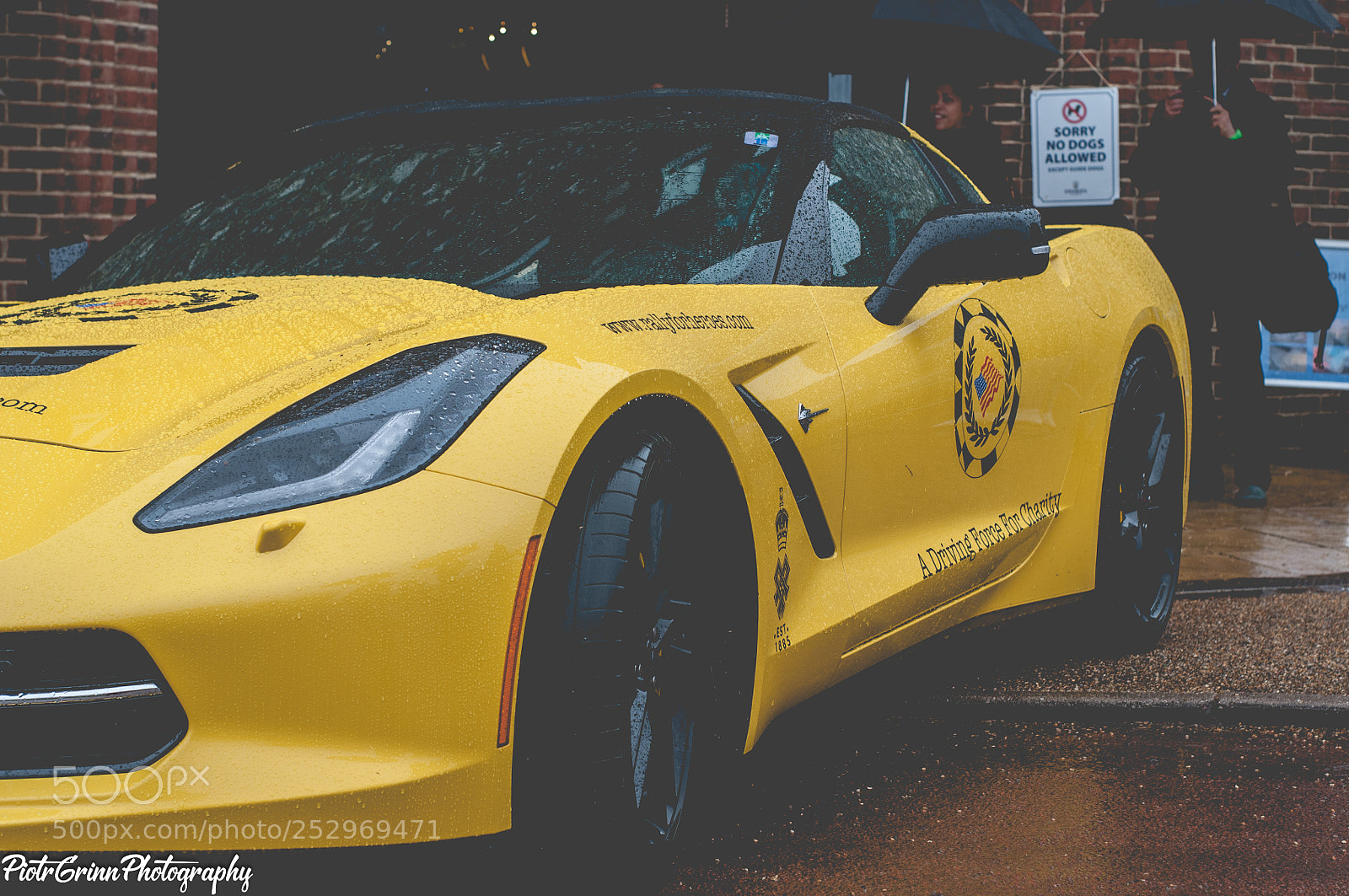 Nikon D300 sample photo. Boss charity car festival photography