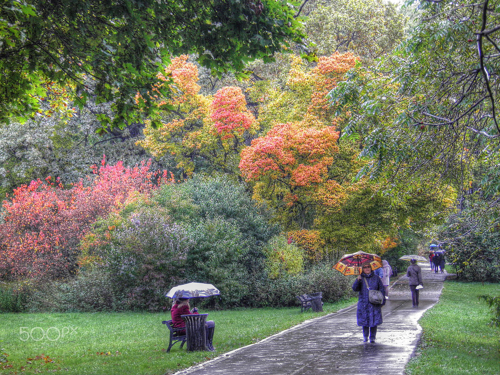 Olympus SP800UZ sample photo. Bright fall in moscow photography