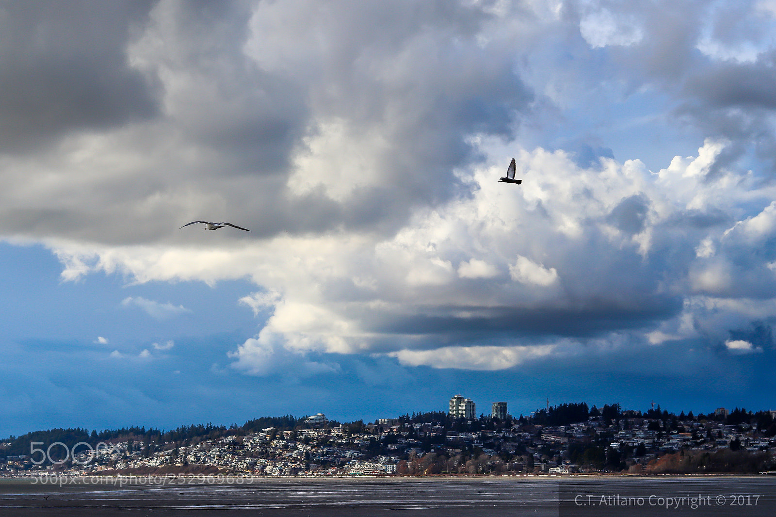 Canon EOS 200D (EOS Rebel SL2 / EOS Kiss X9) sample photo. Over white rock, bc photography
