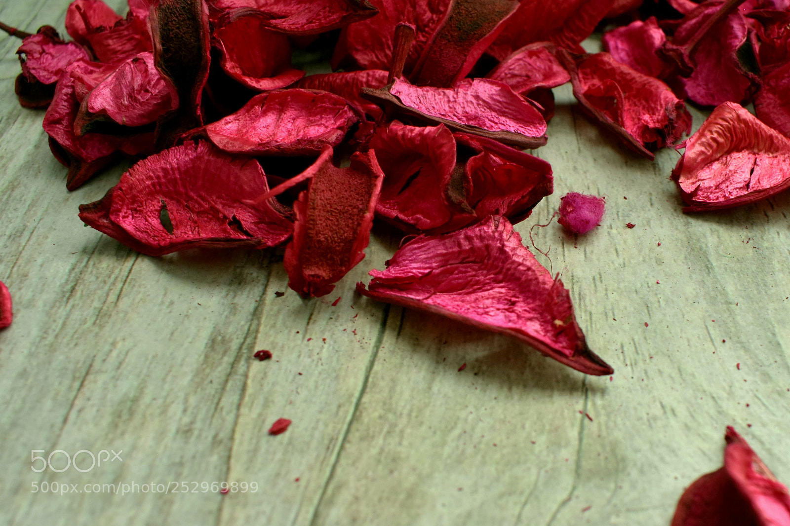 Nikon D3400 sample photo. Pink flower petals photography