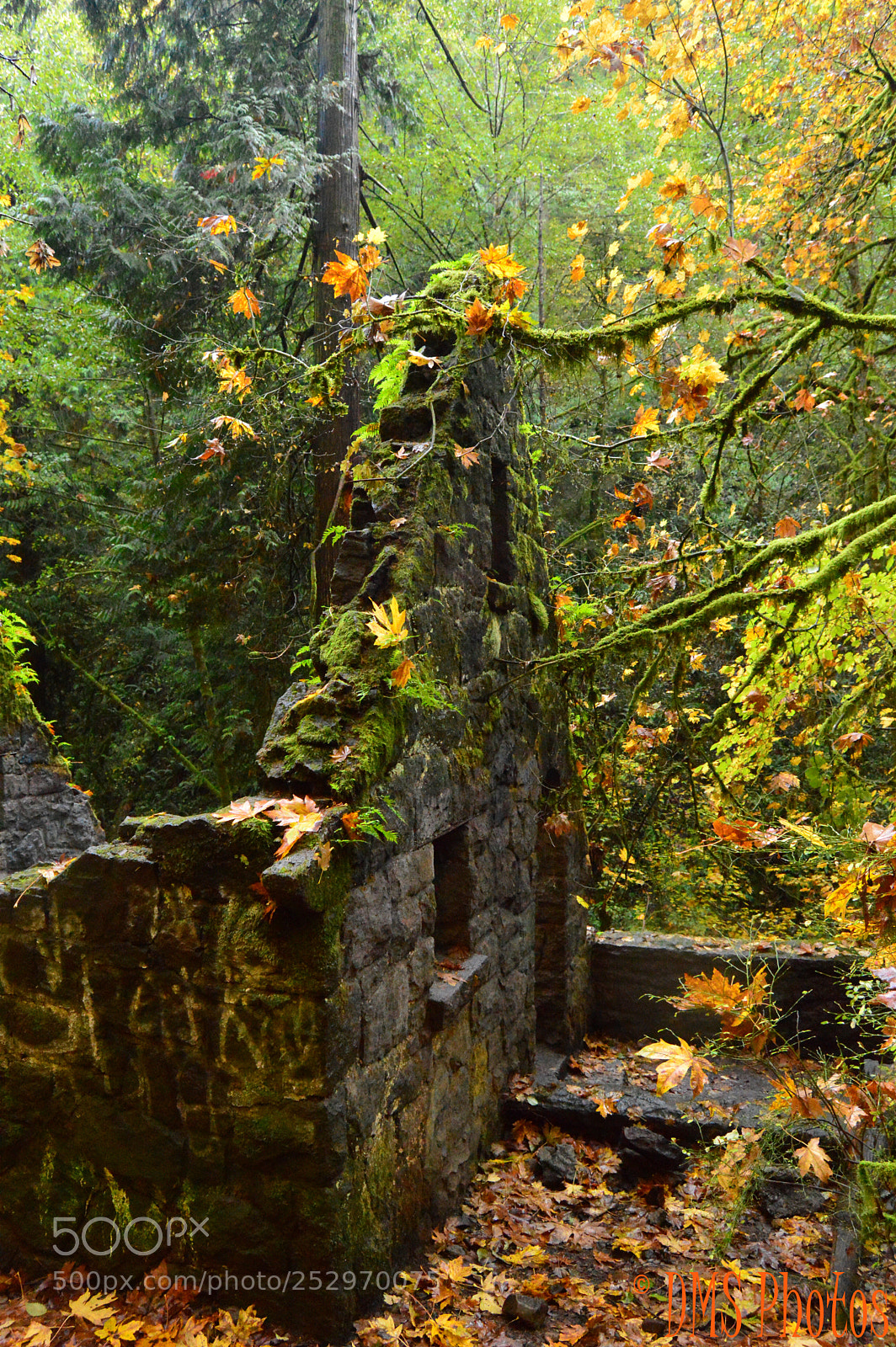 Nikon D3200 sample photo. Witches castle photography