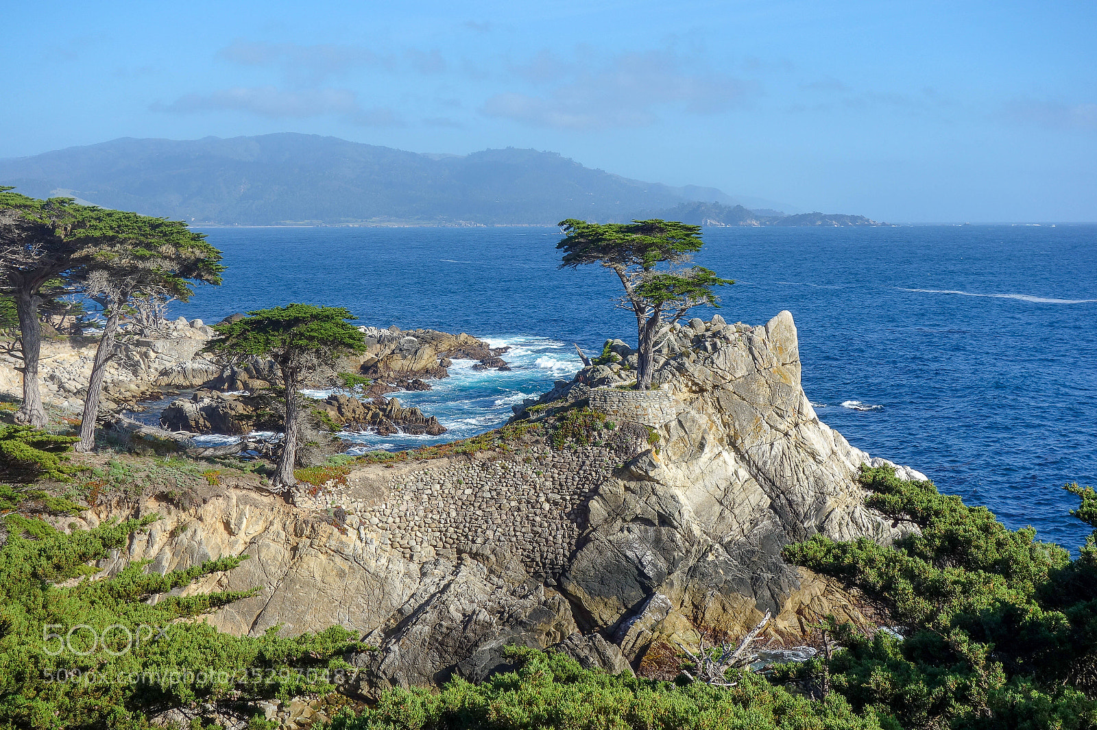 Sony Cyber-shot DSC-RX100 sample photo. Lone cypress photography