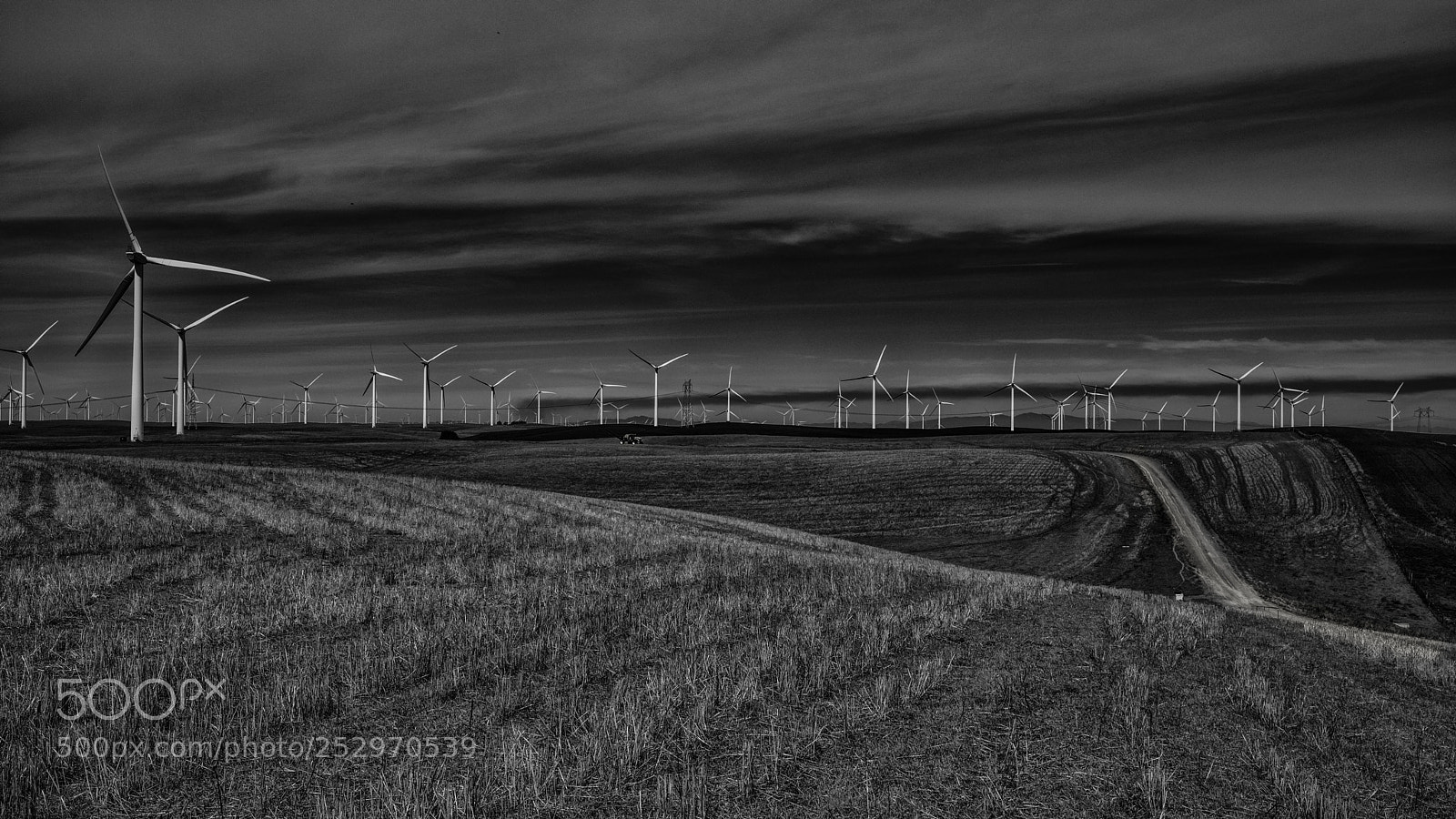 Canon EOS 5D Mark IV sample photo. Untitled 99 photography
