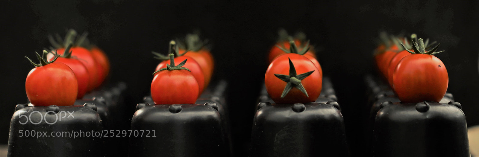 Canon EOS 80D sample photo. Tomatoes photography