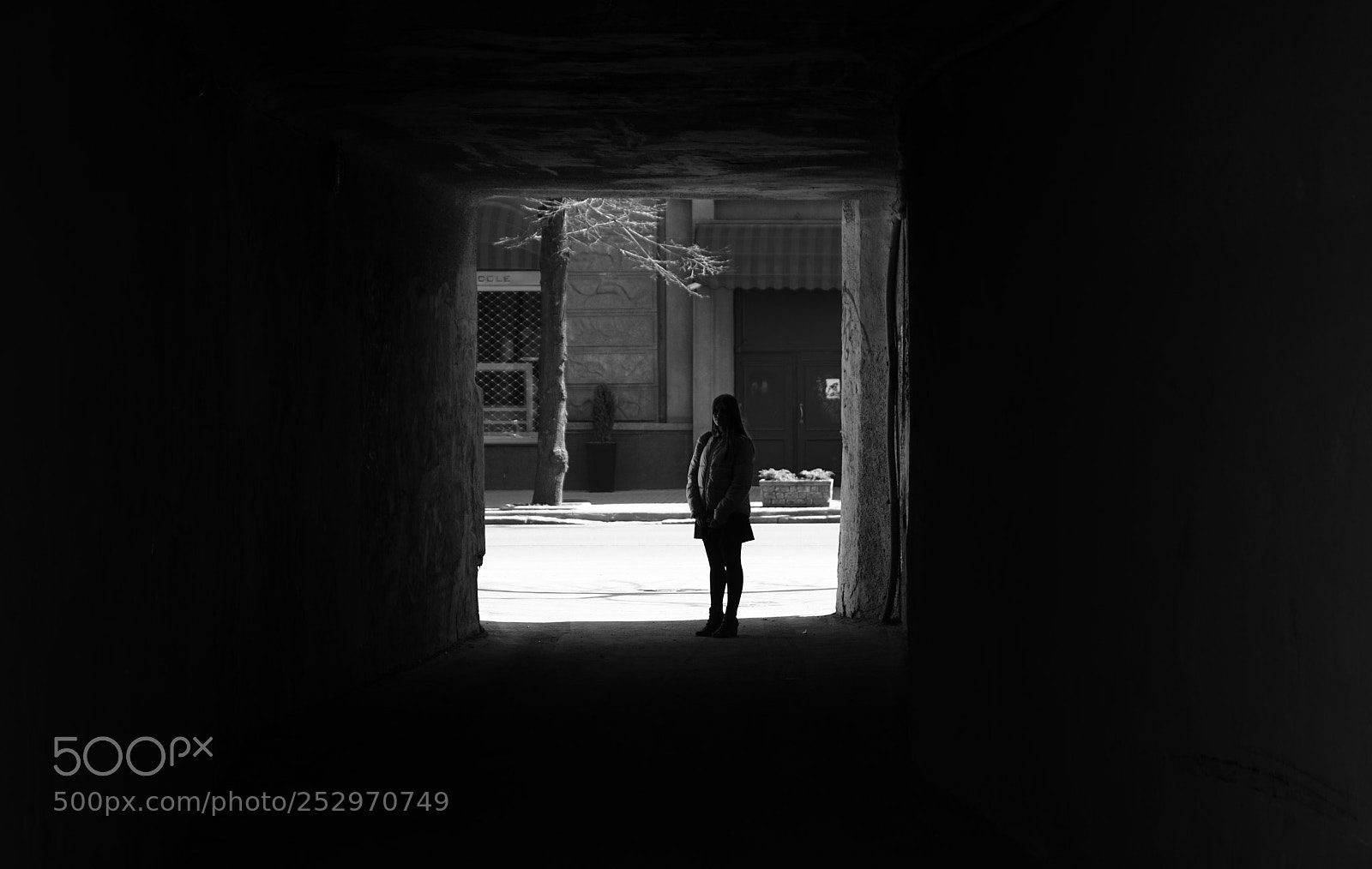 Sony ILCA-77M2 sample photo. Untitled photography