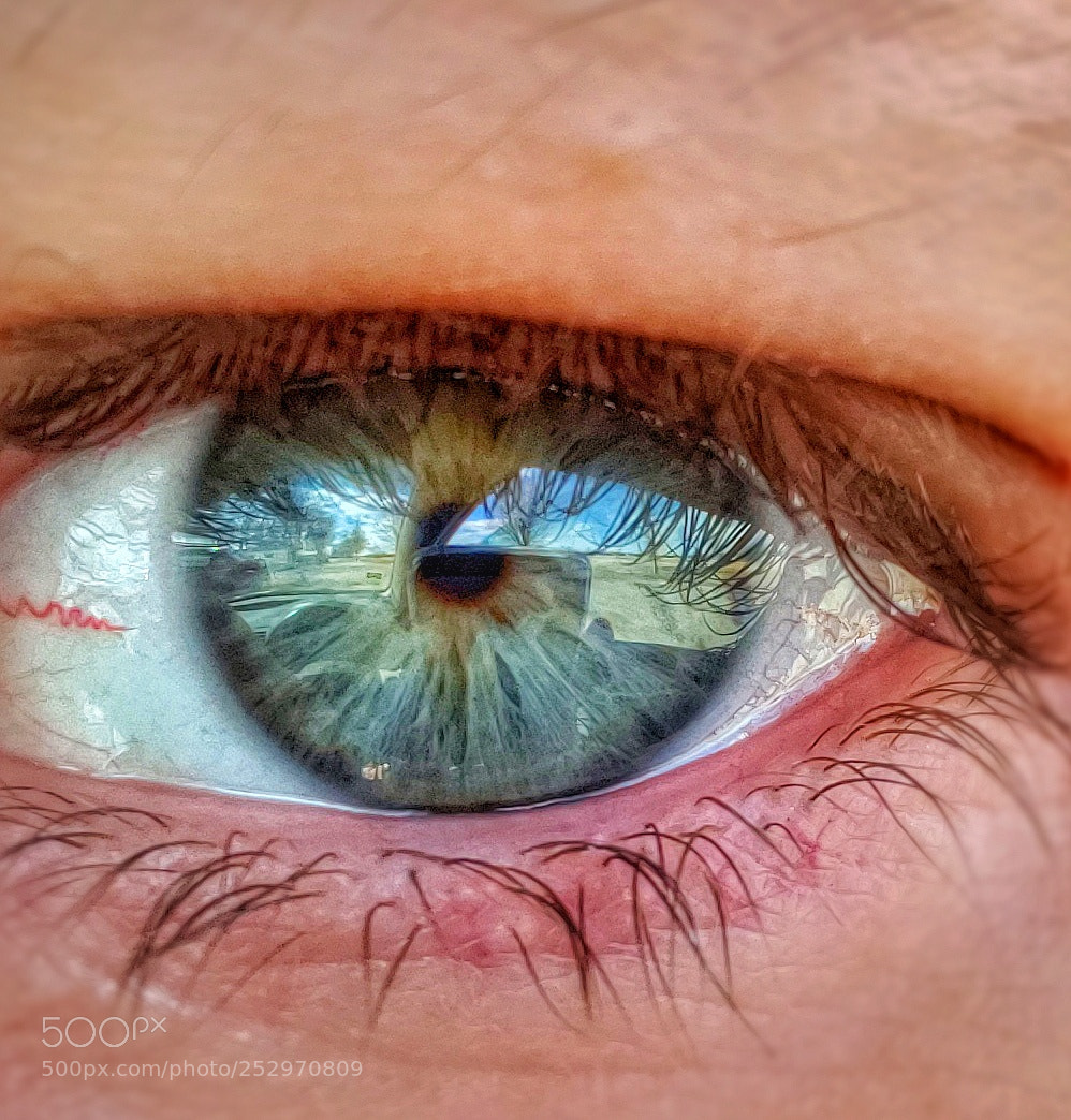 Samsung Galaxy S9 sample photo. Window to the soul photography