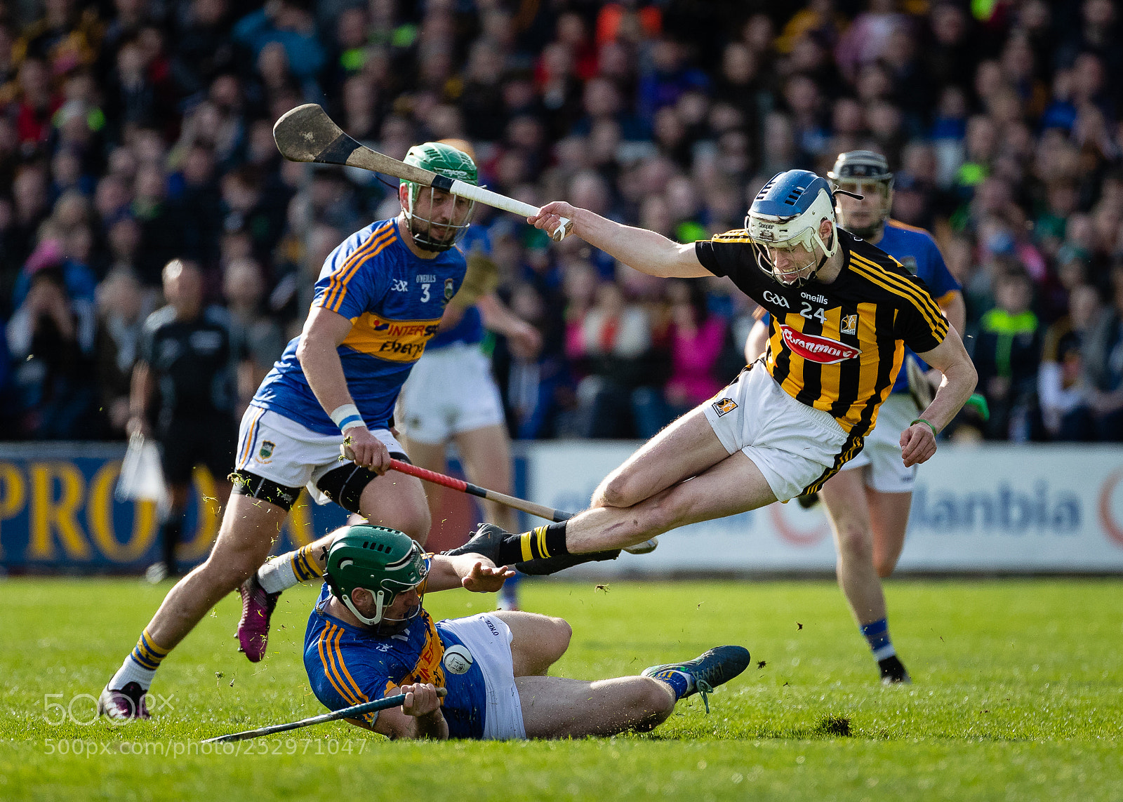 Canon EOS-1D X Mark II sample photo. Luke scanlon in flying photography