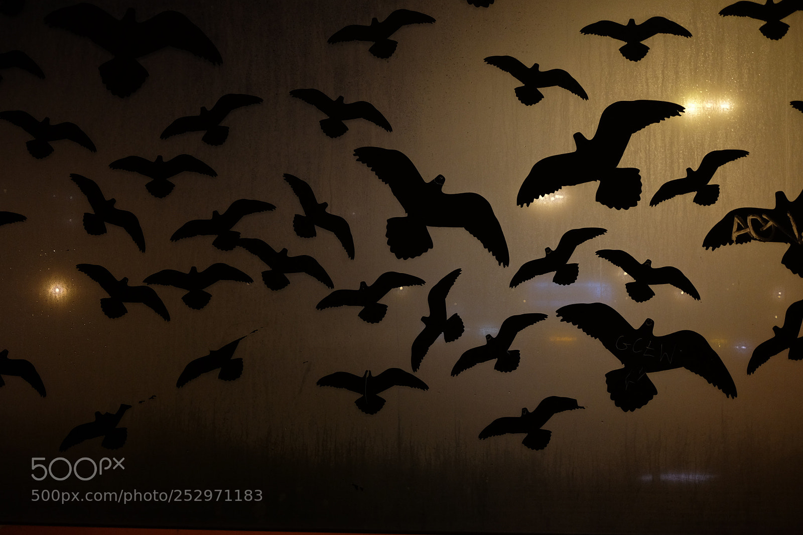 Fujifilm X-T10 sample photo. Birds photography