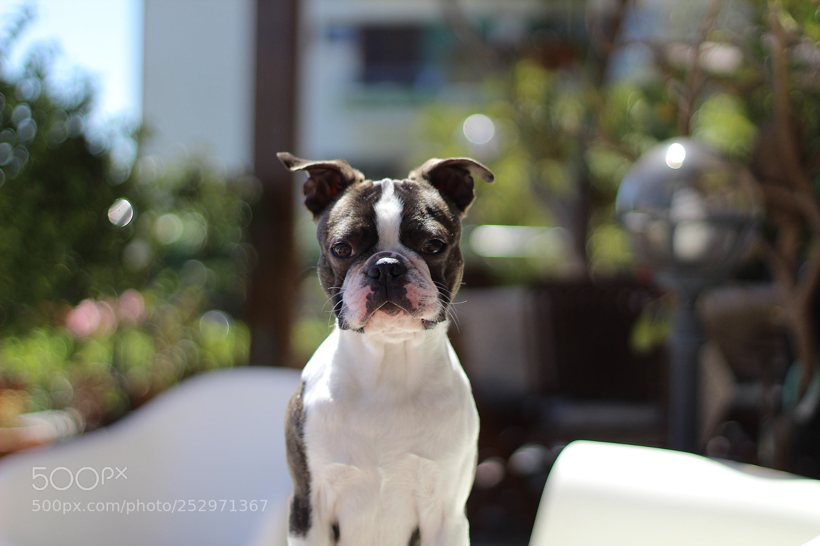 Canon EOS 1300D (EOS Rebel T6 / EOS Kiss X80) sample photo. Prince photography