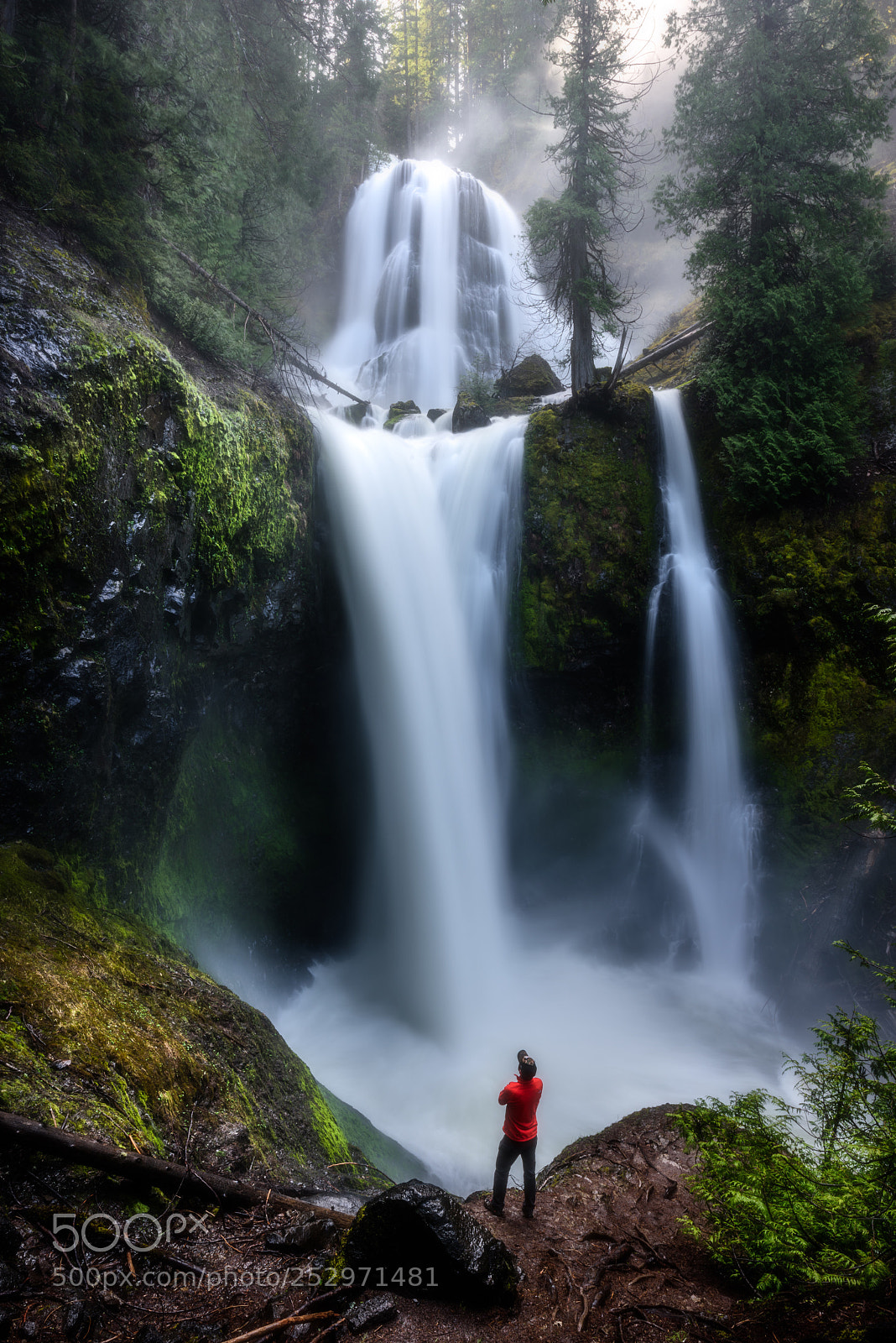Nikon D810 sample photo. Majestic photography