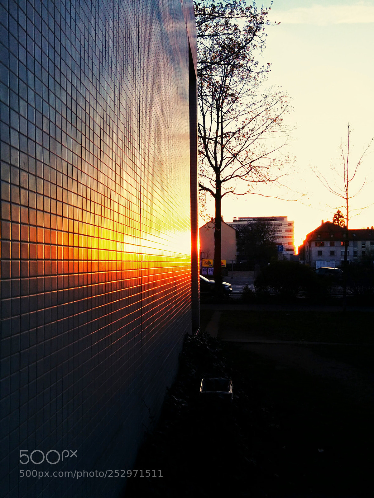 LG Nexus 5 sample photo. Mirror photography