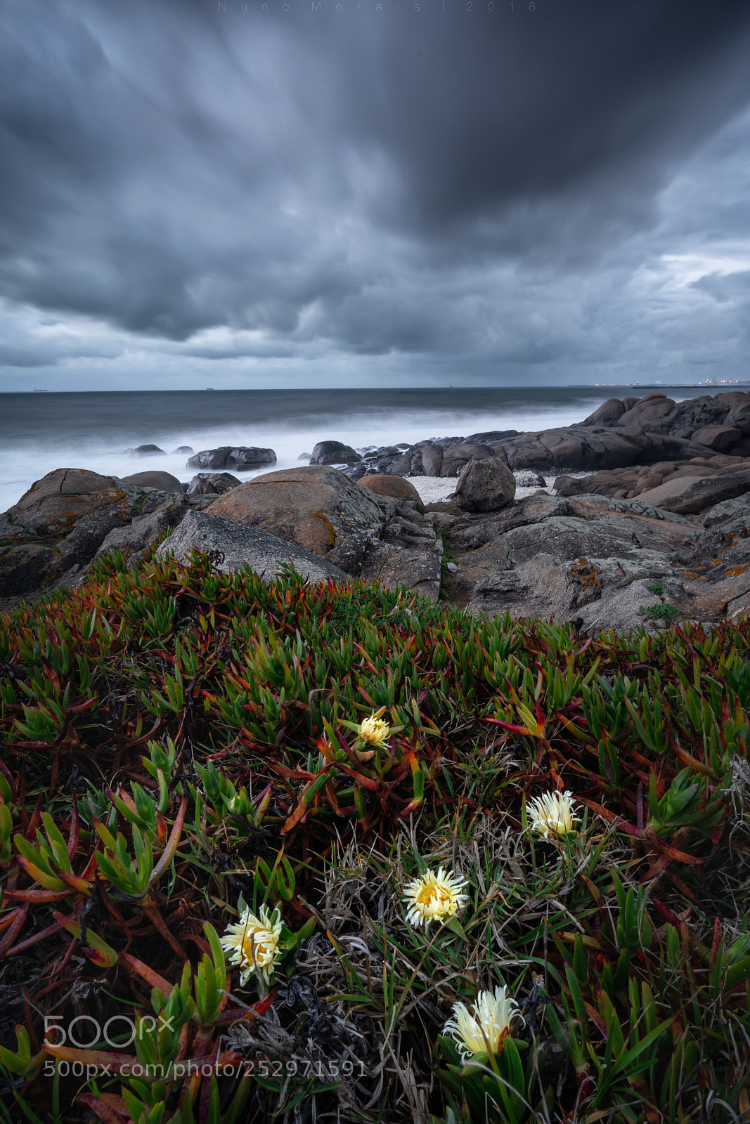 Sony a7R II sample photo. The  storm  photography
