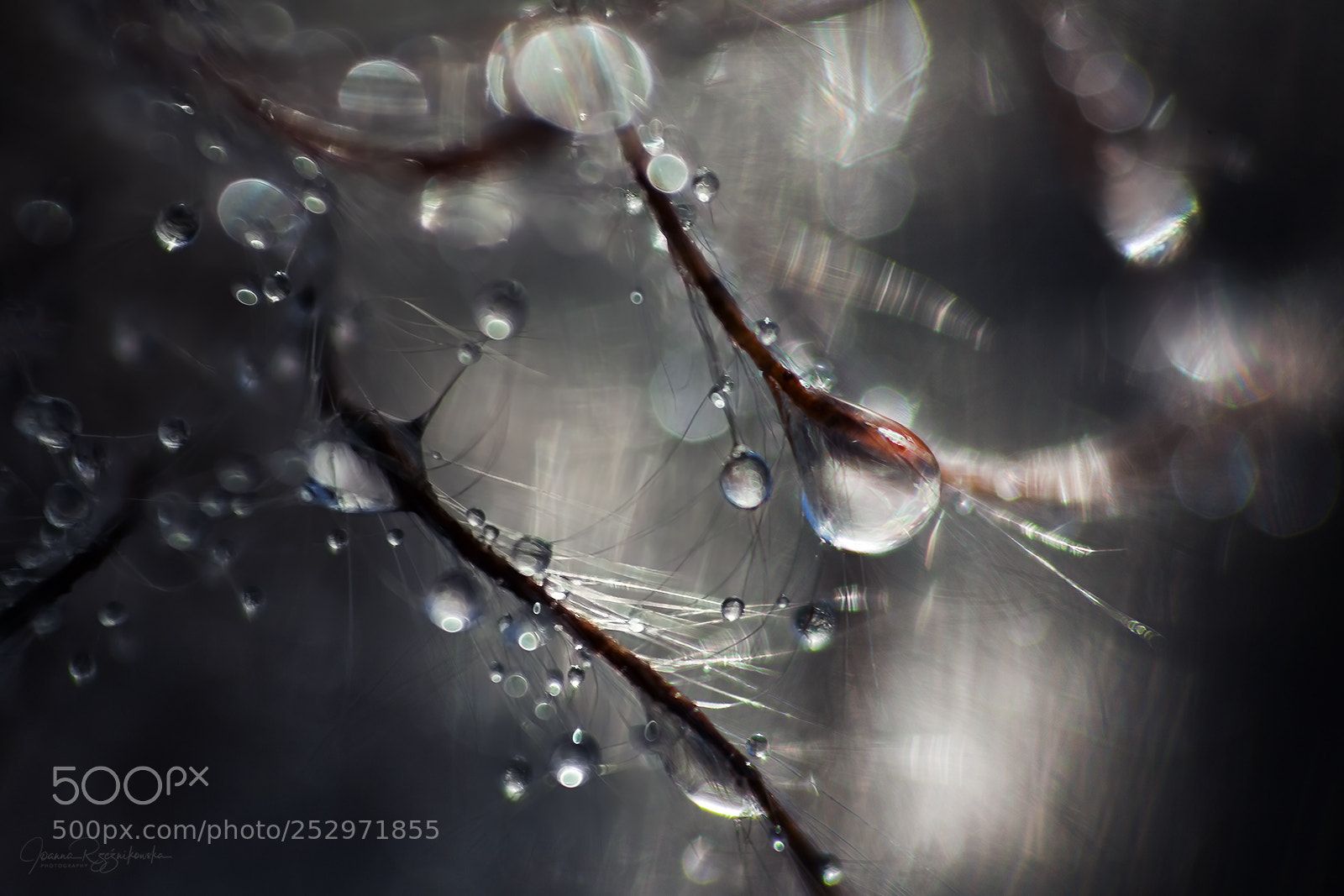 Canon EOS 5D Mark II sample photo. Heavenly photography