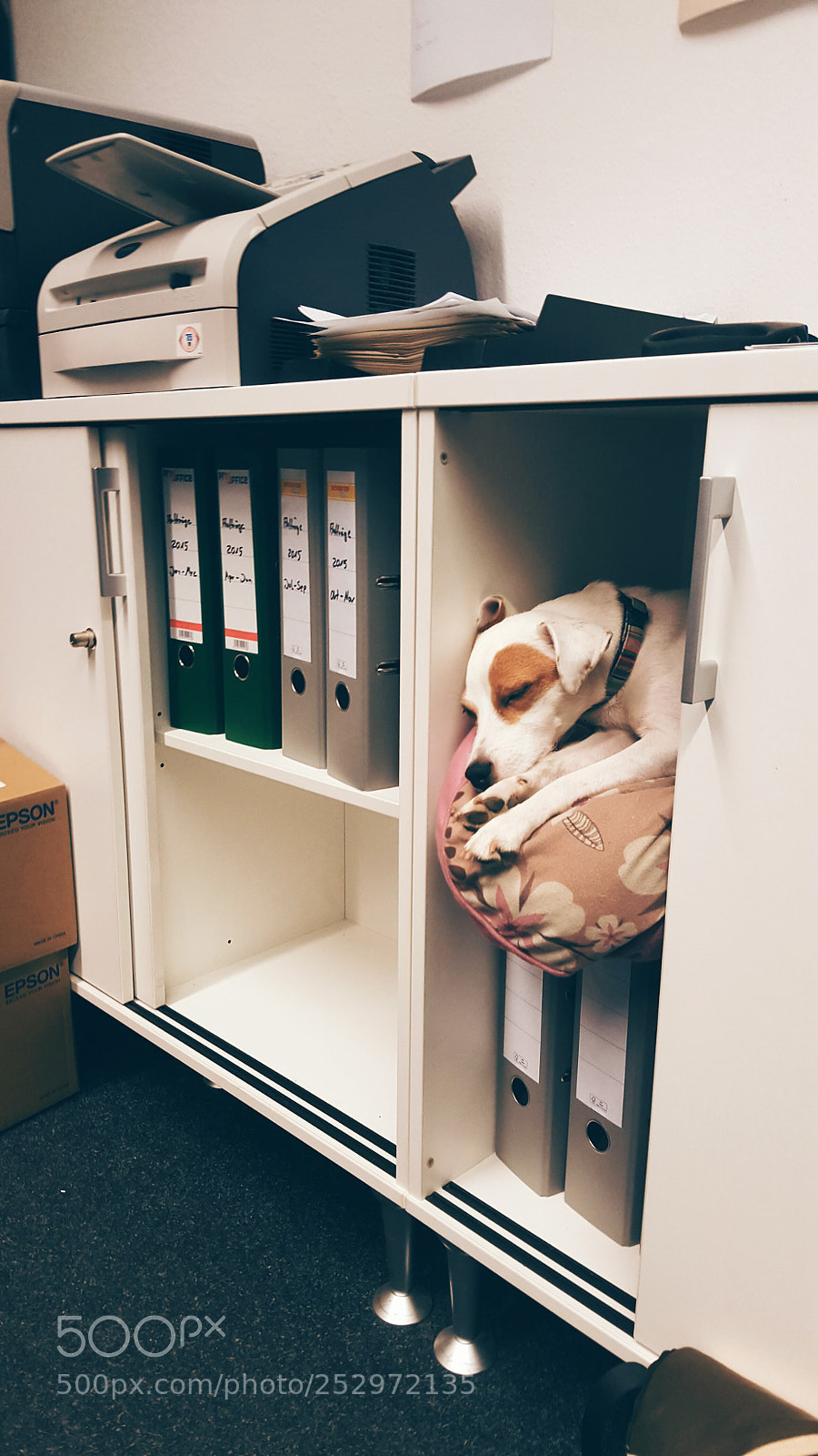 Samsung Galaxy S6 sample photo. Sleep at work photography