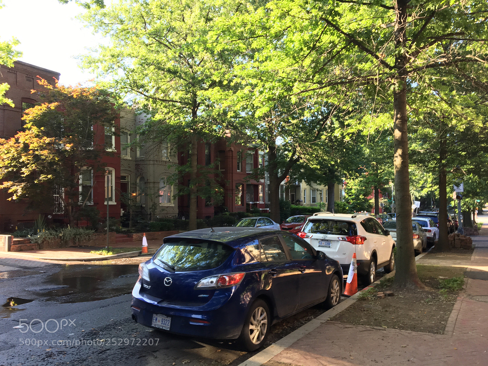 Apple iPhone 6s sample photo. Img photography
