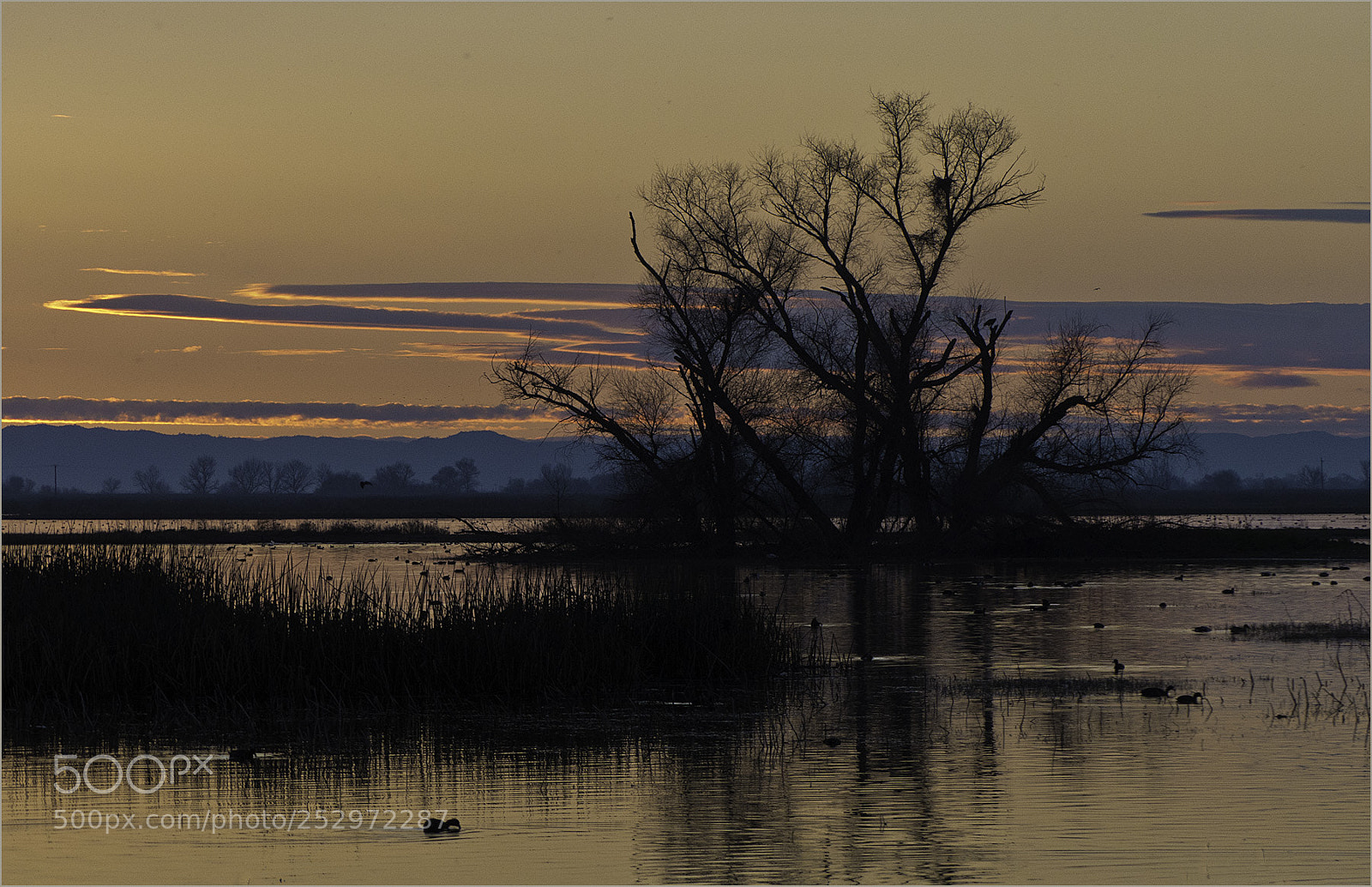 Panasonic Lumix DMC-FZ200 sample photo. Sunset at merced photography