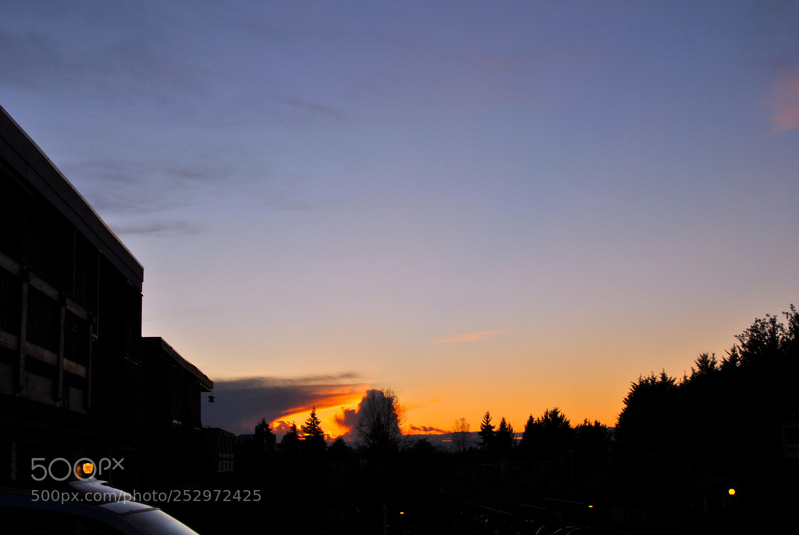 Nikon D3000 sample photo. Canvas of the sky photography