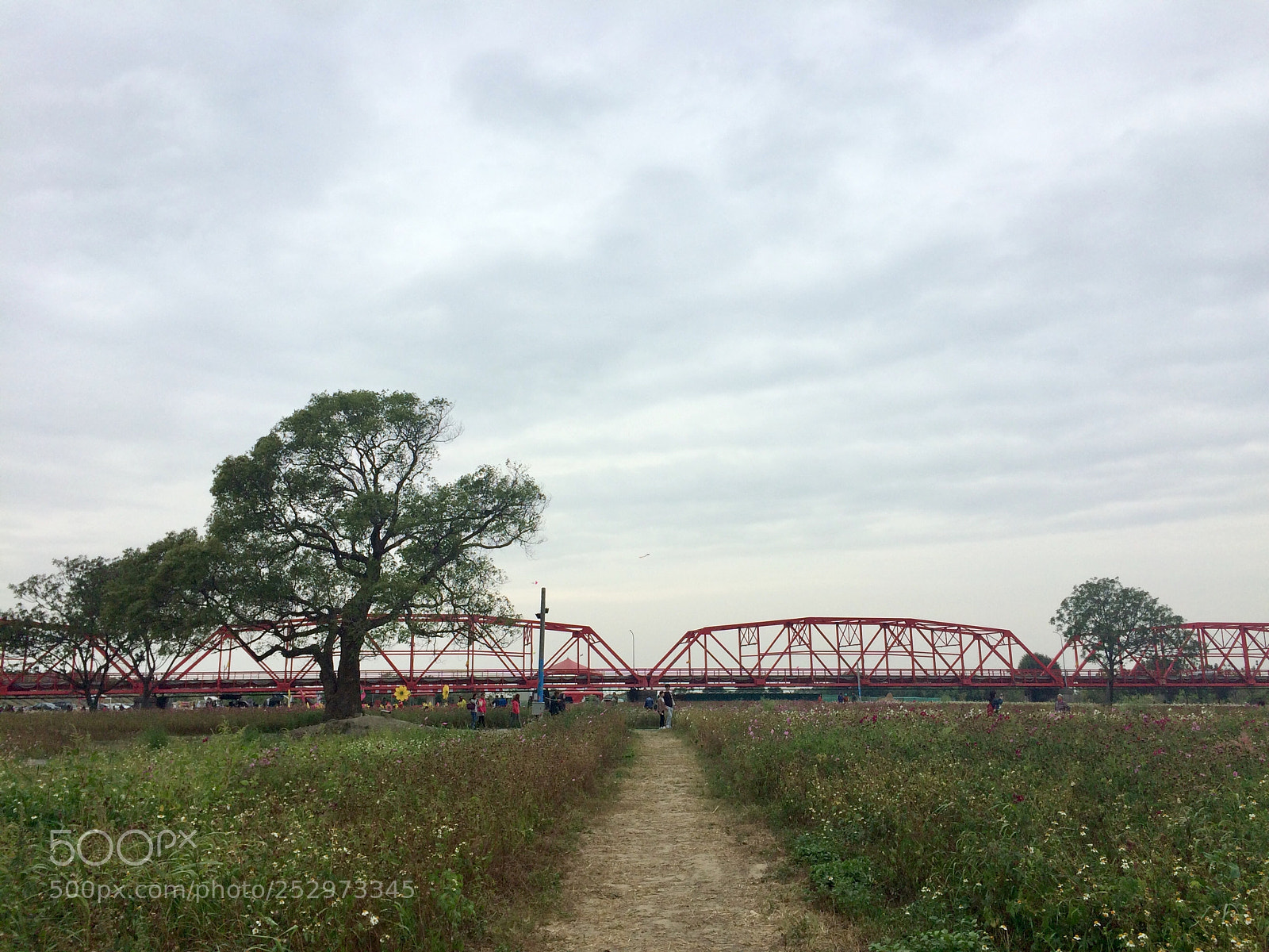 Apple iPhone 5s sample photo. Seeroad brigade photography