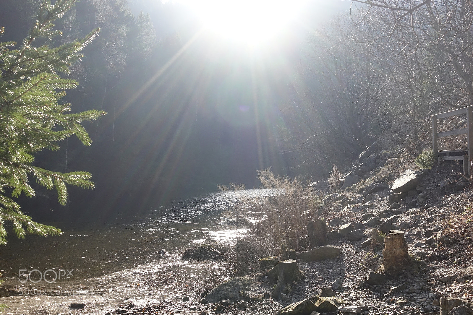 Sony DSC-RX100M5 sample photo. Verlobungsinsel in der oker.harz photography
