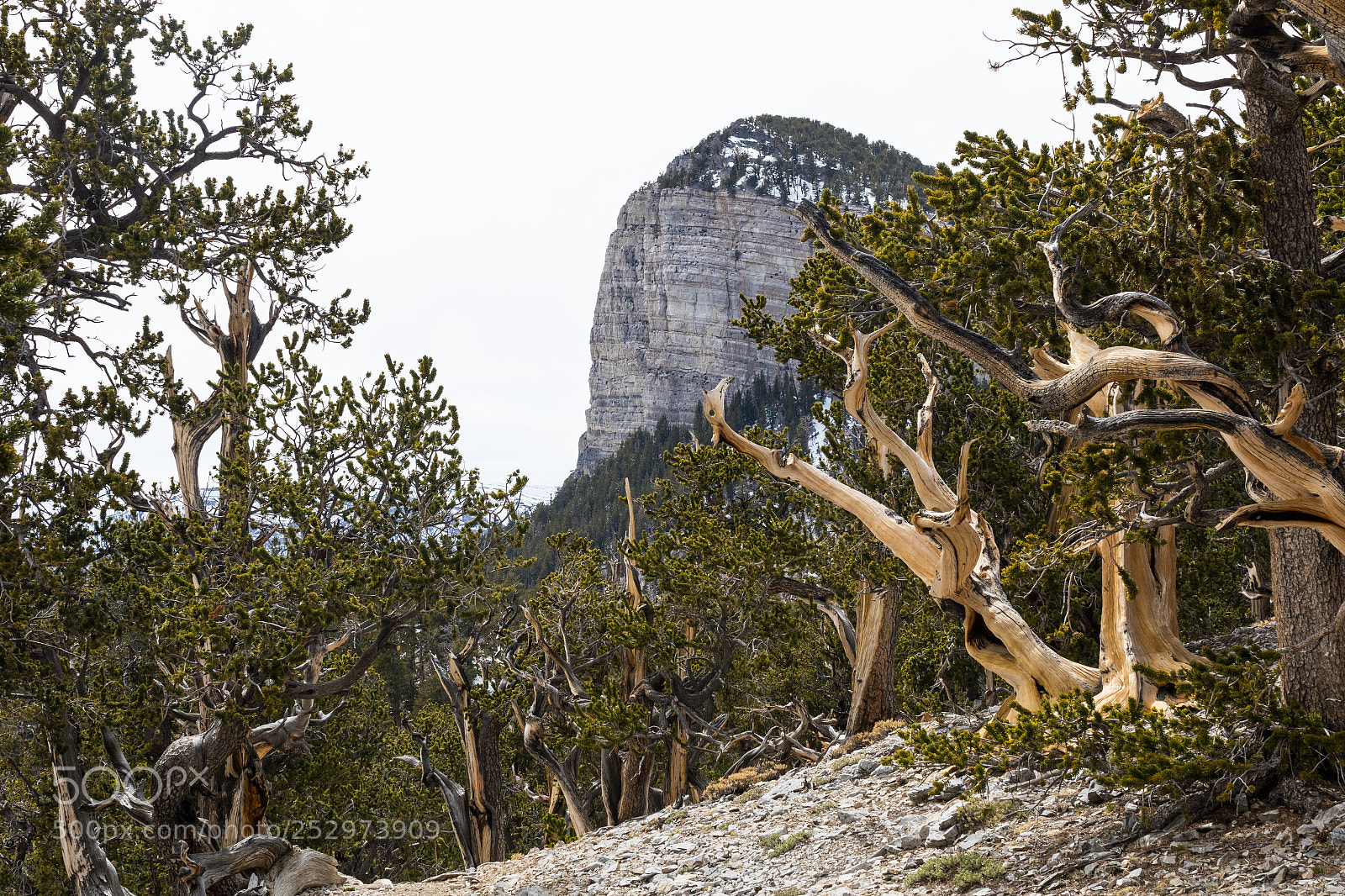 Canon EOS 7D Mark II sample photo. Views from north country photography