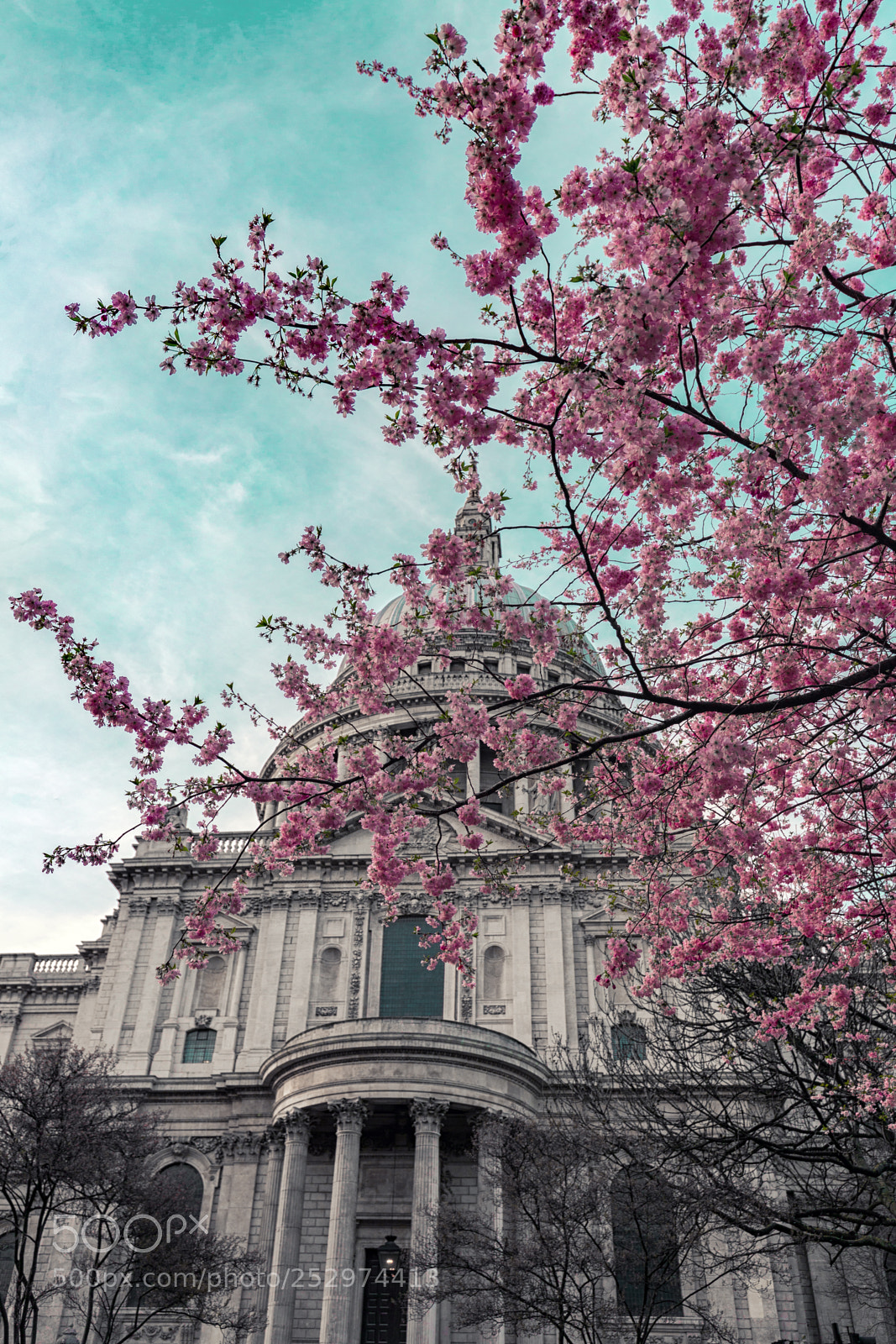 Canon EOS 6D Mark II sample photo. St paul's cathedral spring photography