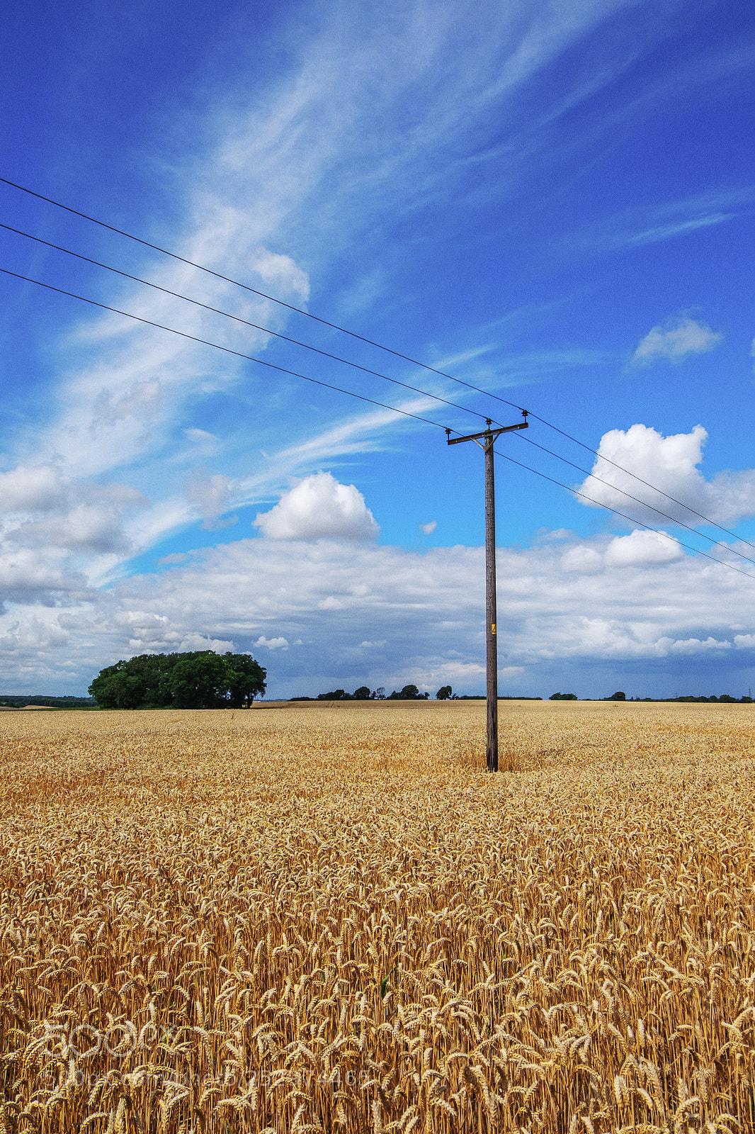 Fujifilm X-T10 sample photo. In the field photography